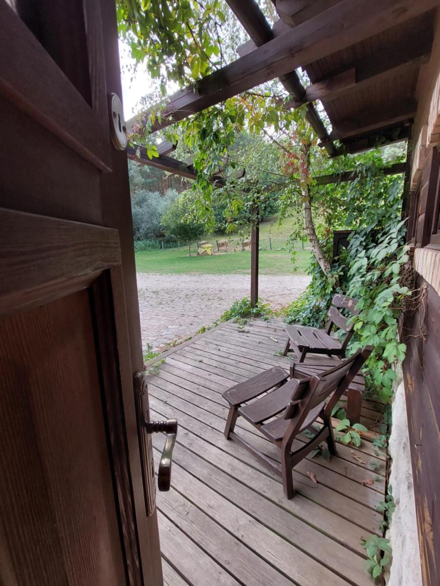 Photo 47