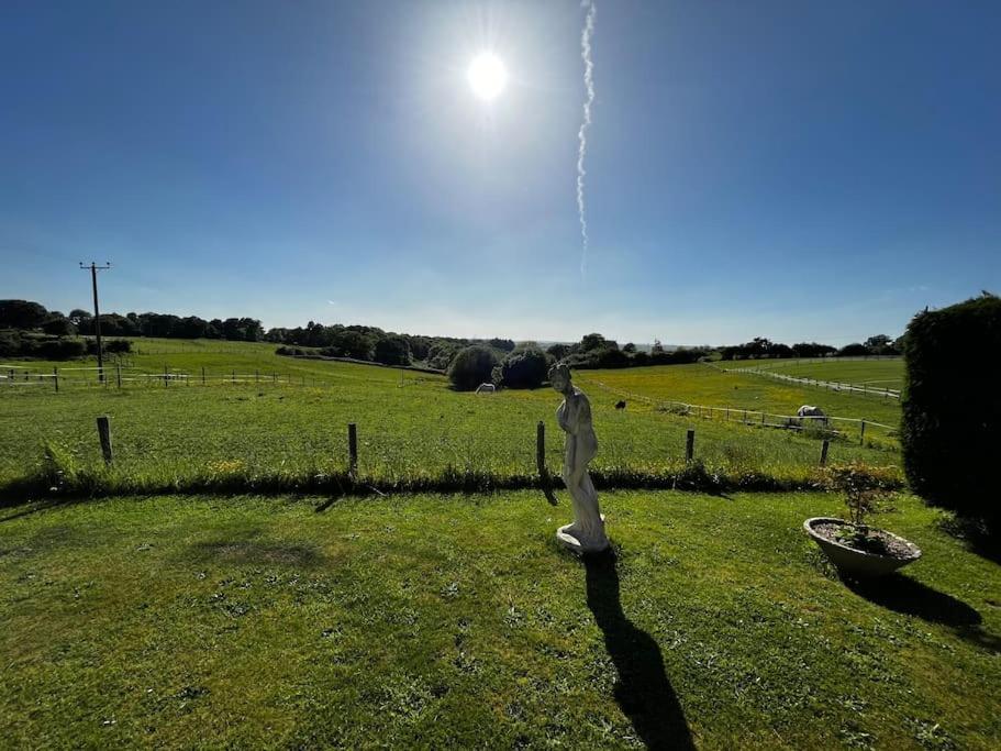 Byre - Farm Cottage on 9 acre Equestrian Small Holding view 5