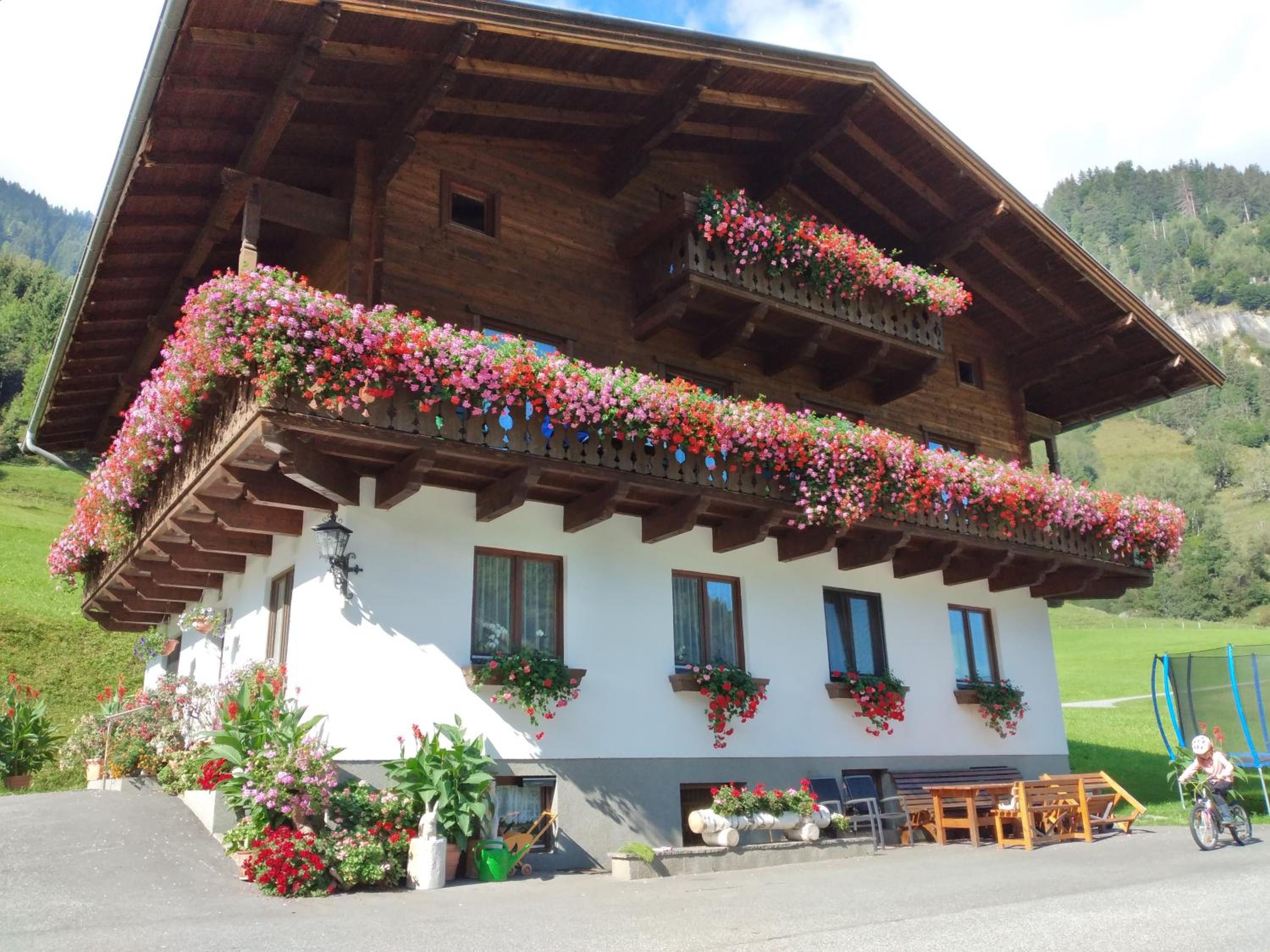 Bio-Bauernhof Schiederhof