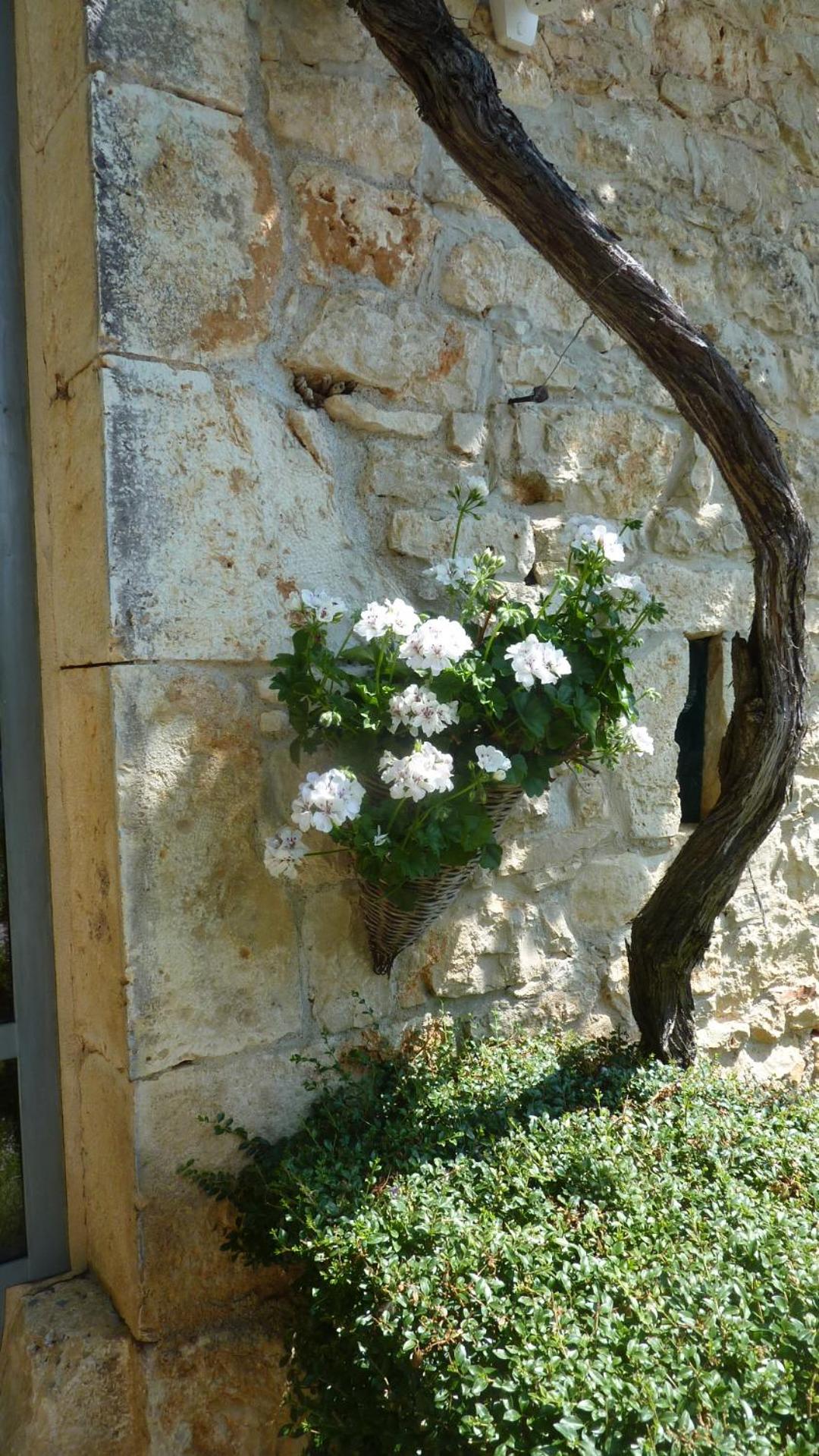 Photo 29