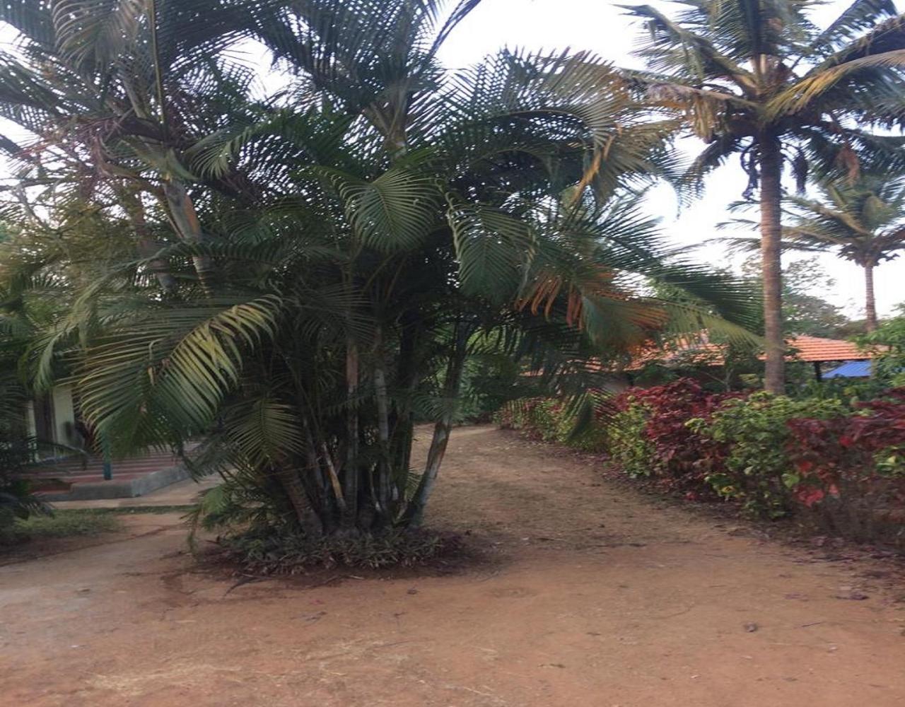 Hasiru Farms Homestay by StayApart view 2