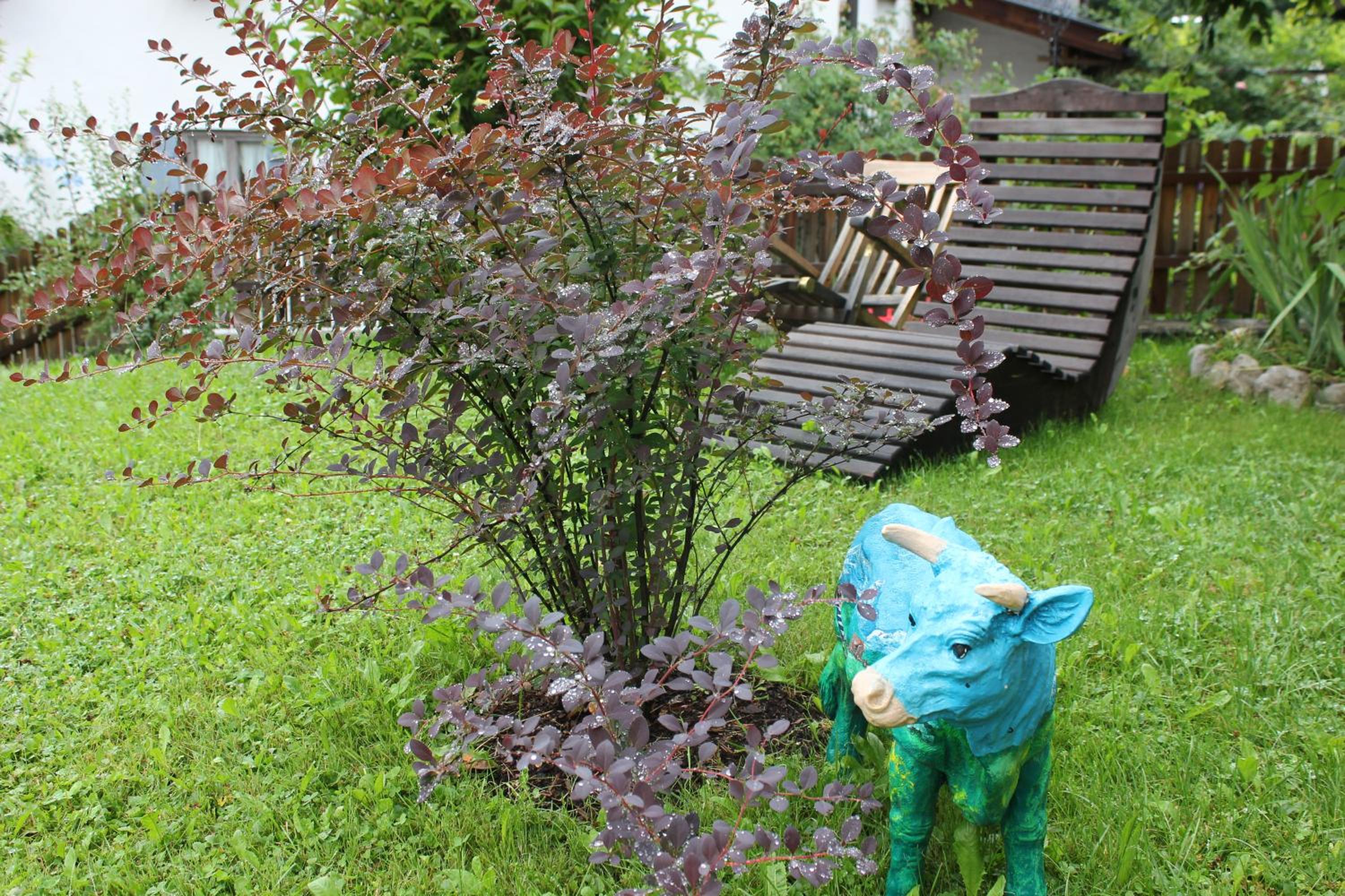 Photo 24
