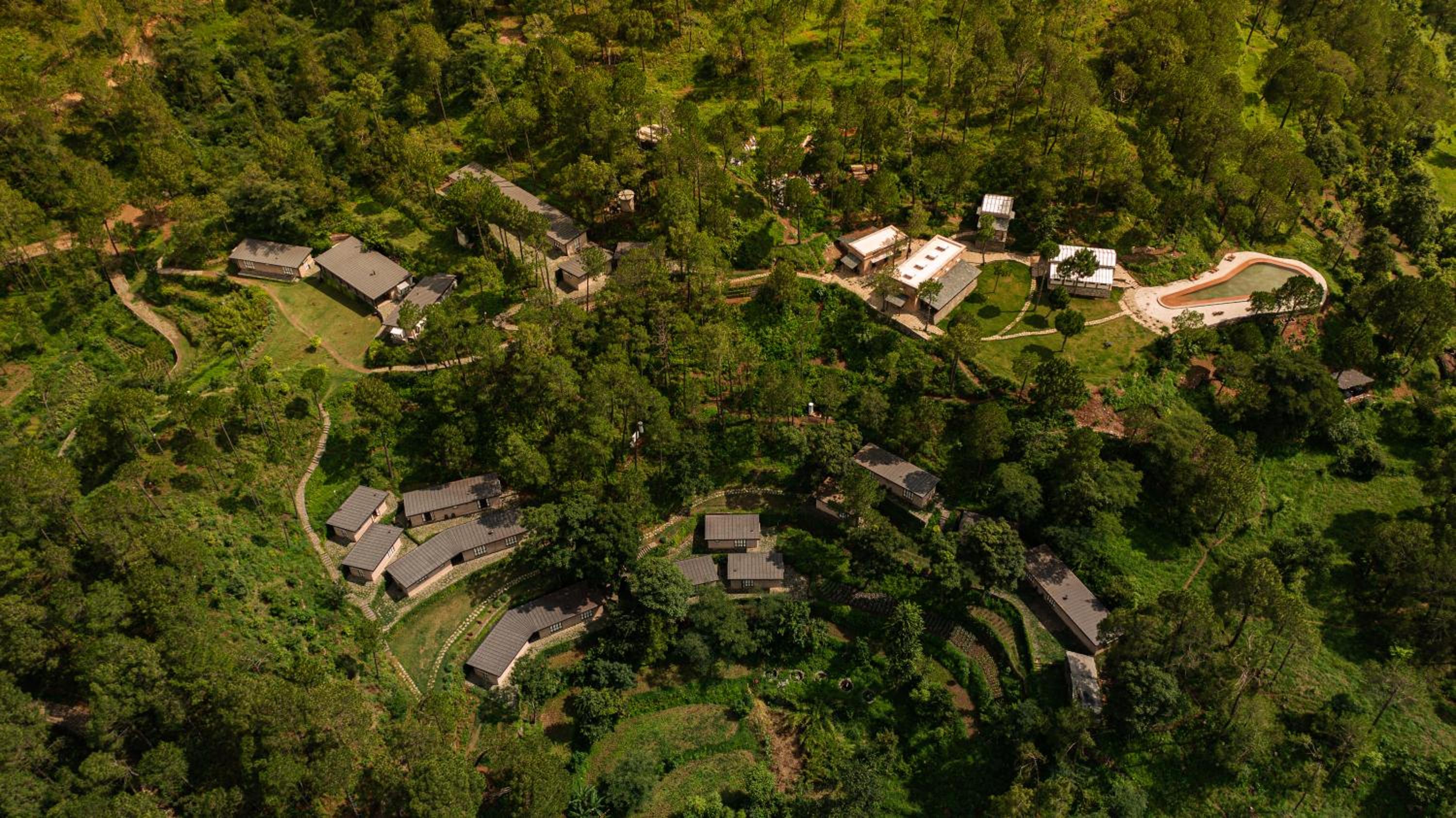 Amaya Kasauli