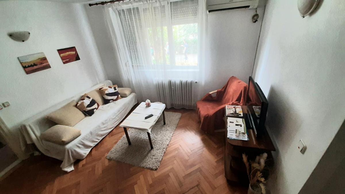 Apartament central Adina view 5