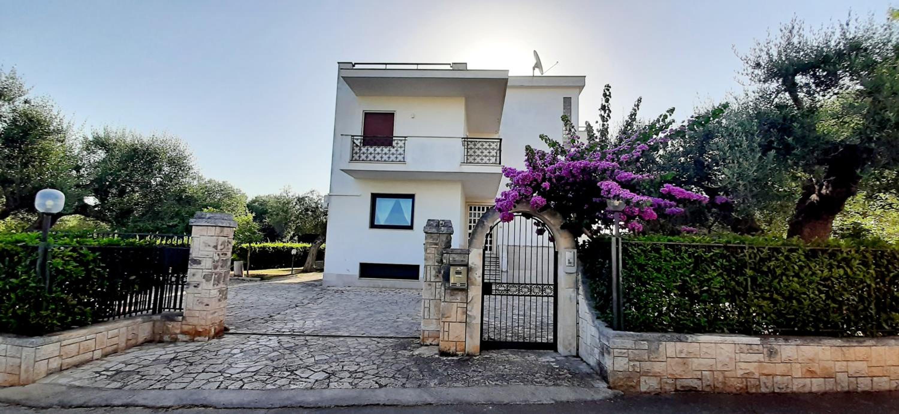 Villa Dragonfly by BarbarHouse