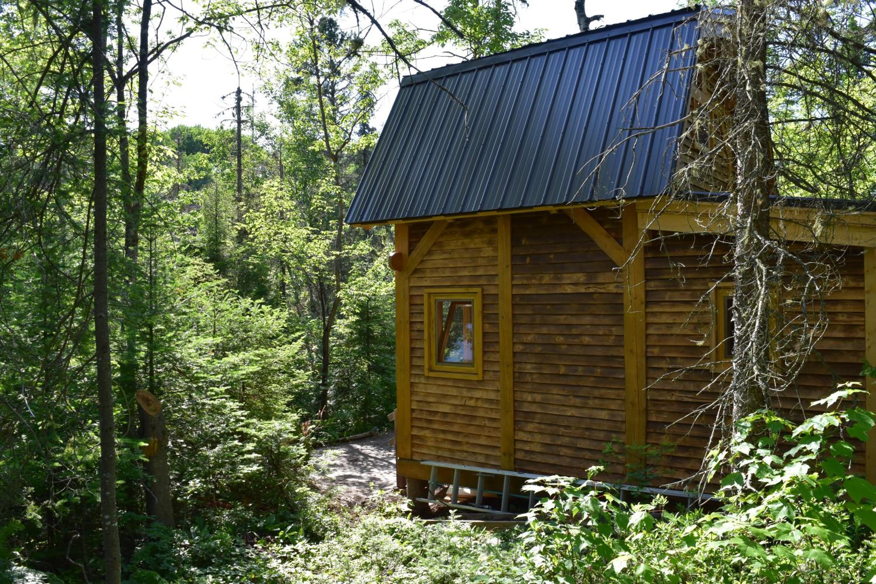 Bois Rond Expérience view 2