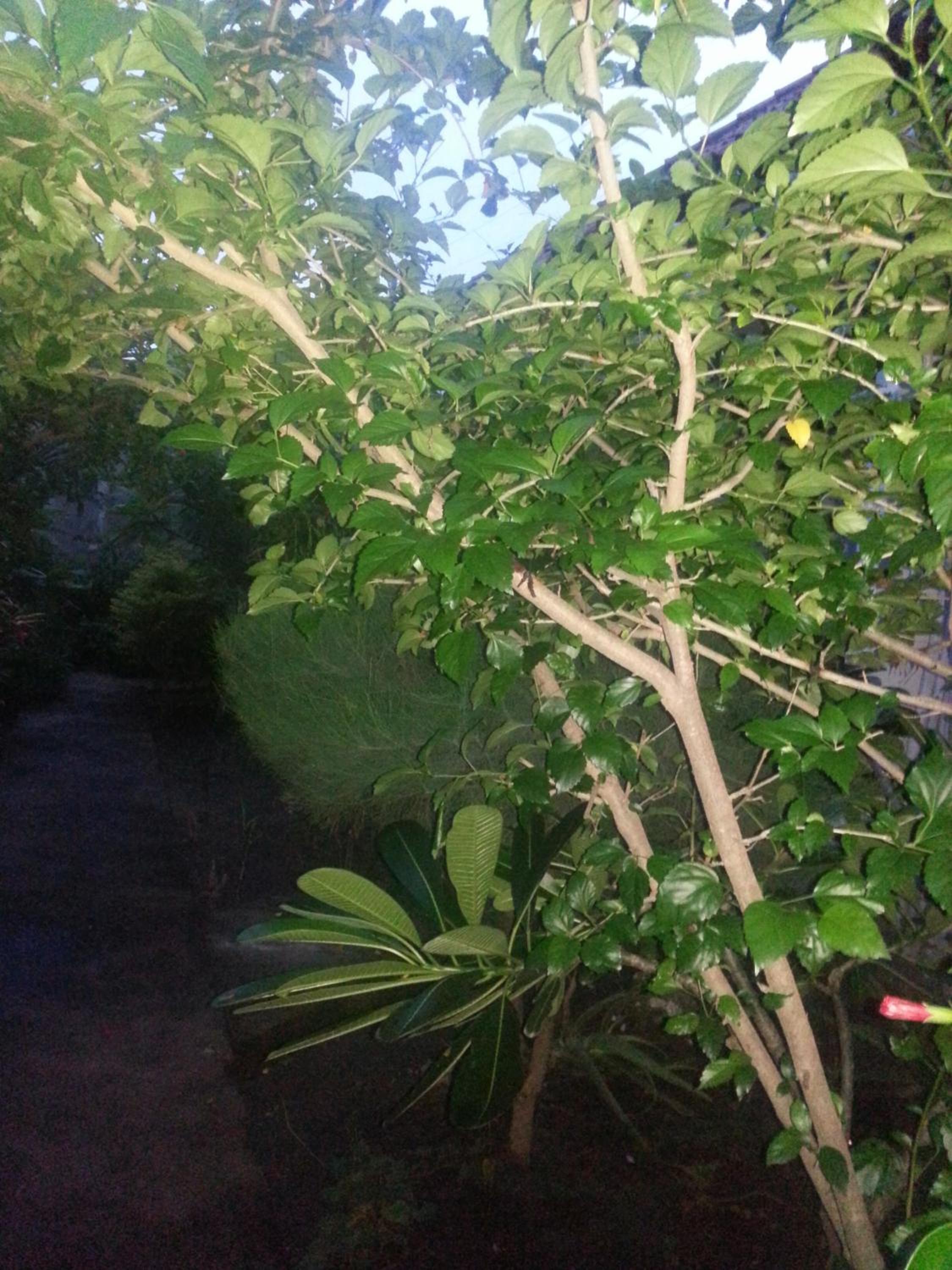 Photo 7