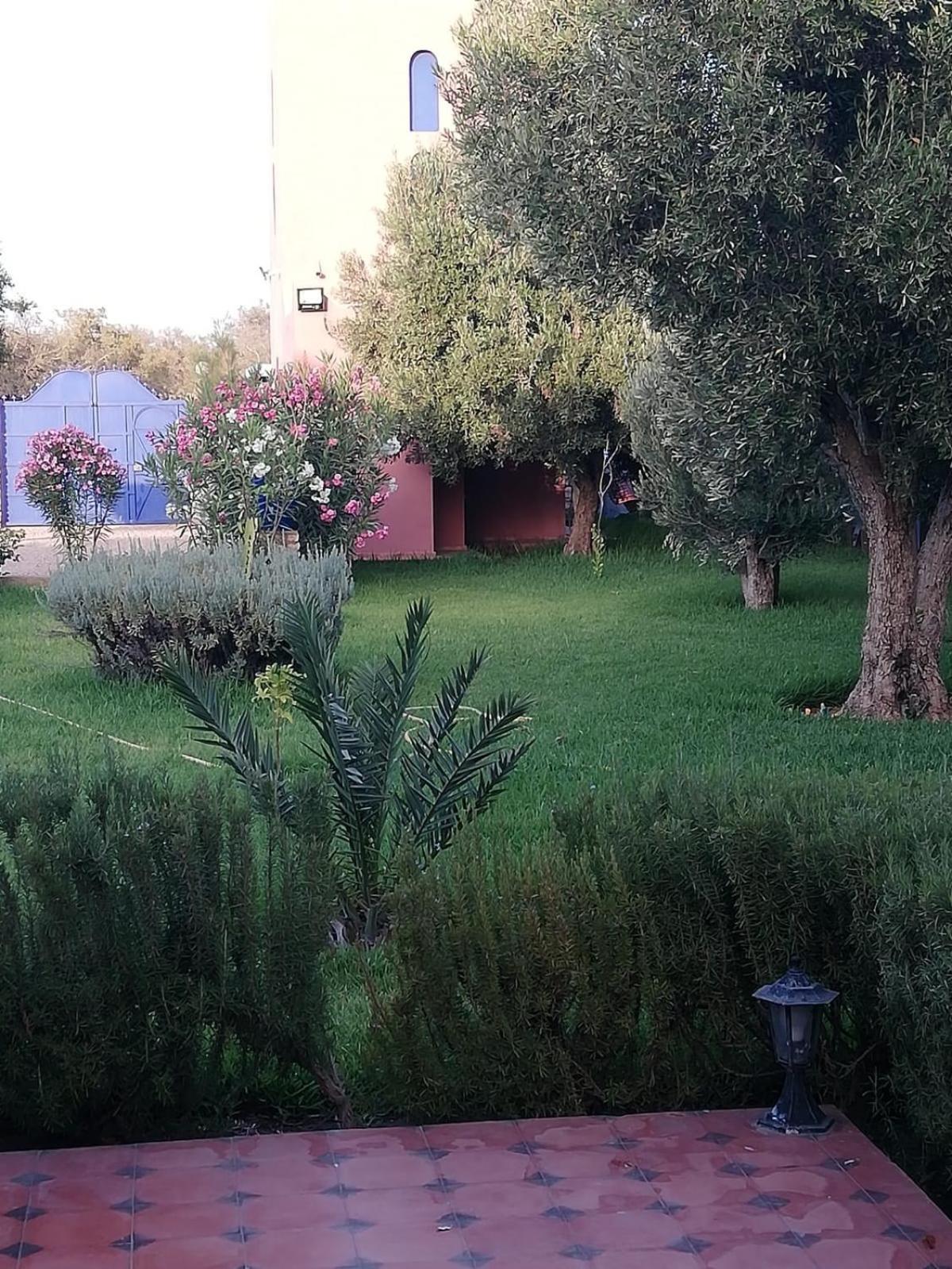 Photo 24