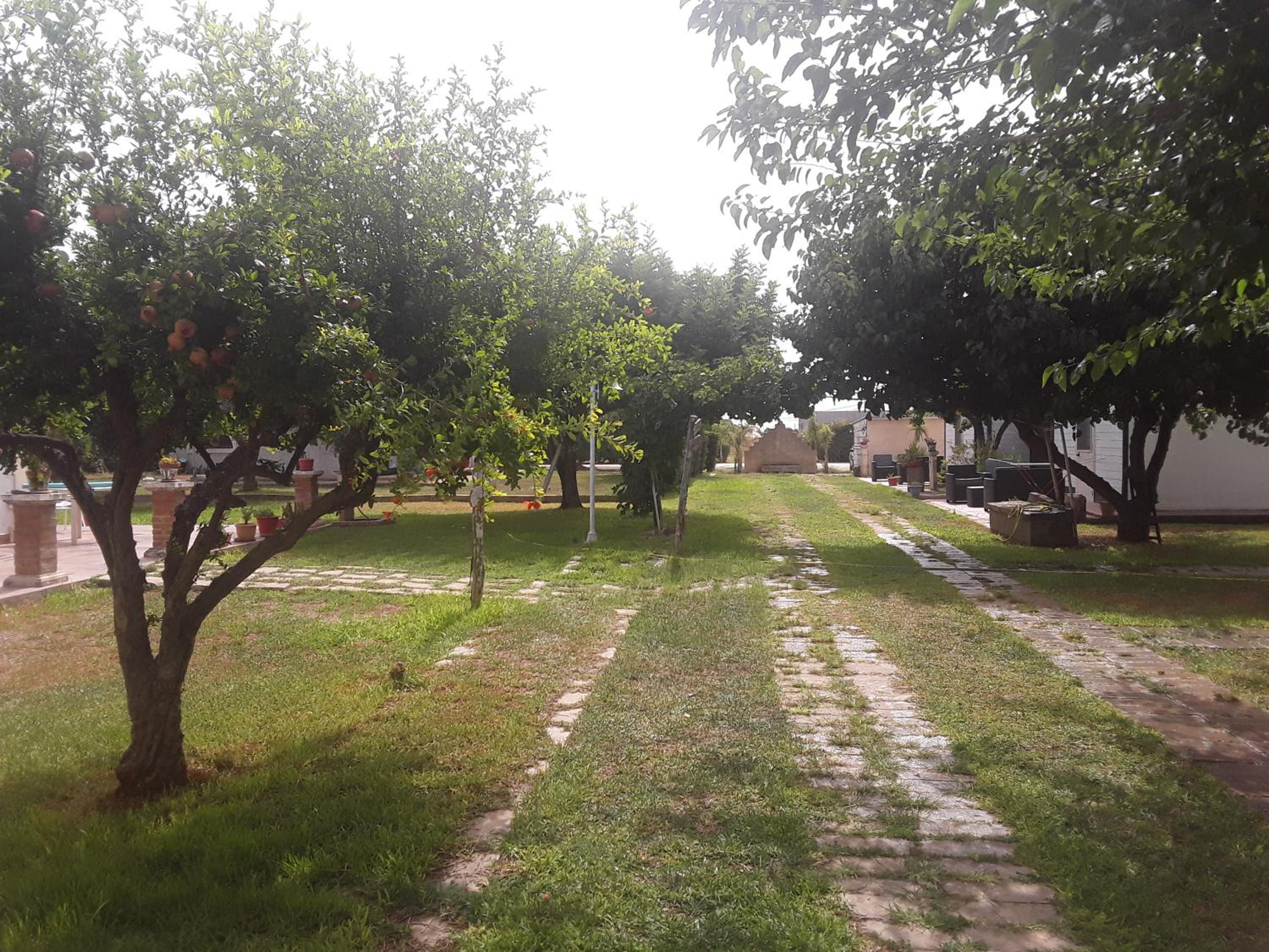 Photo 35
