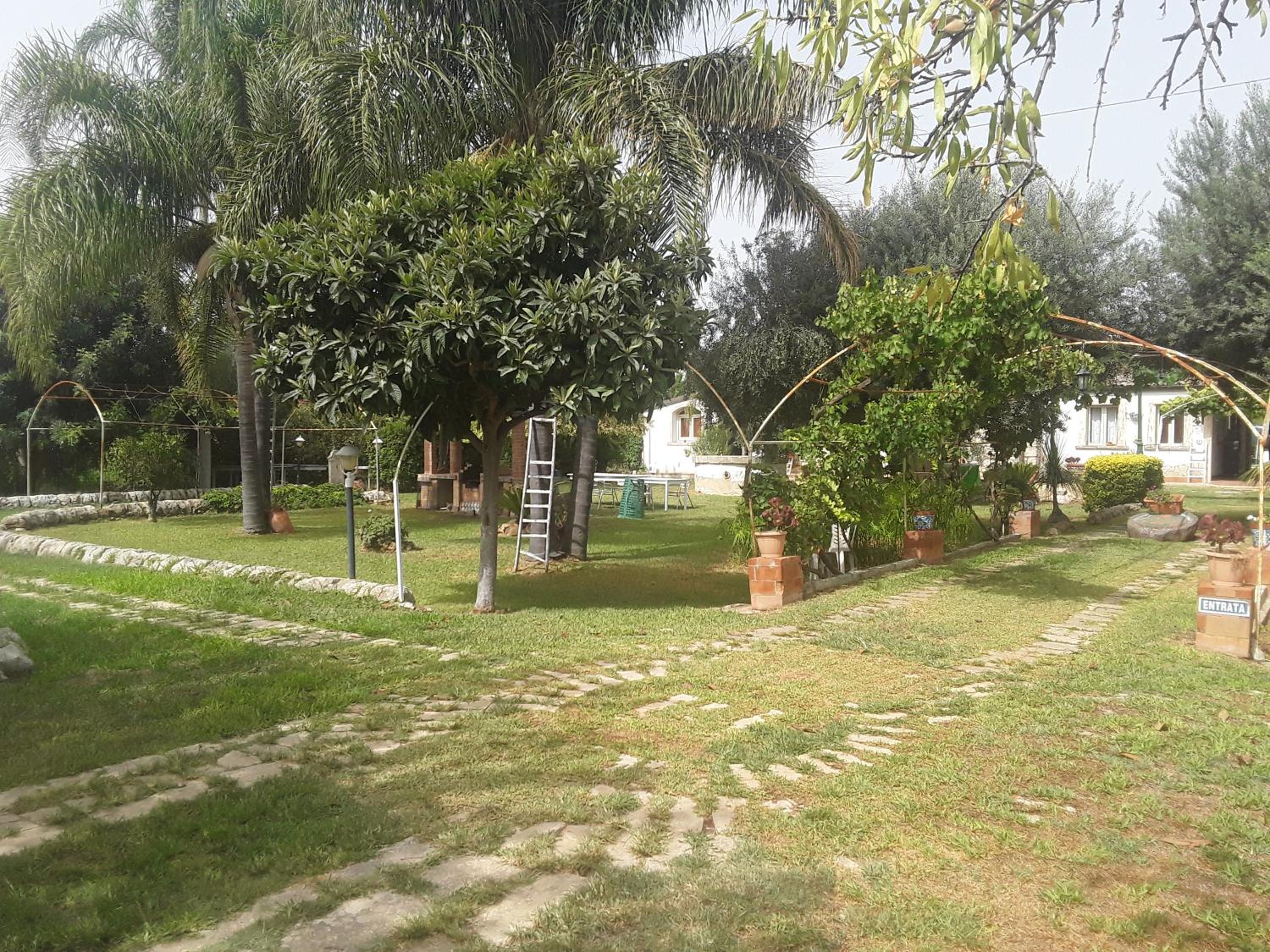 Photo 48