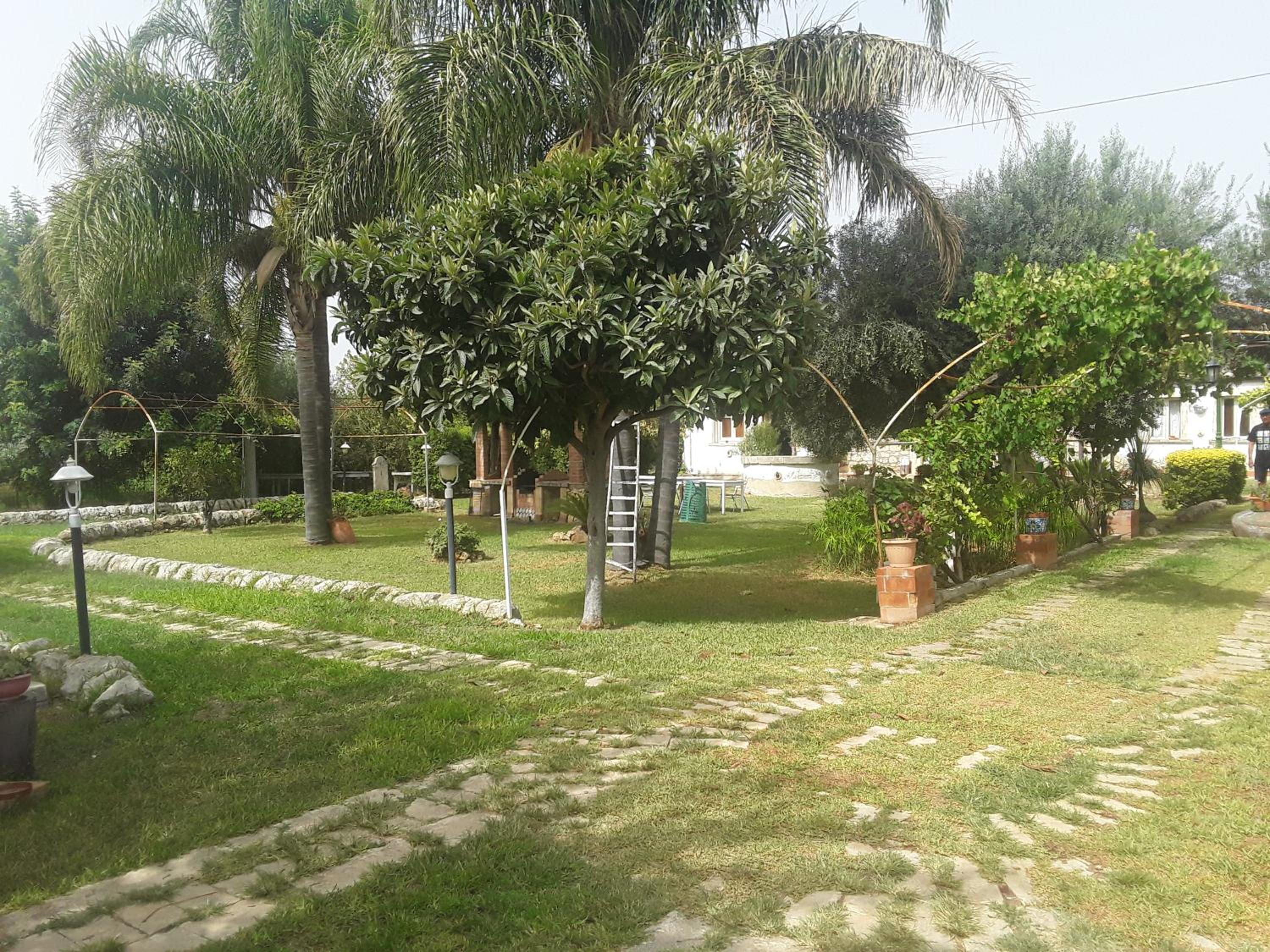 Photo 38