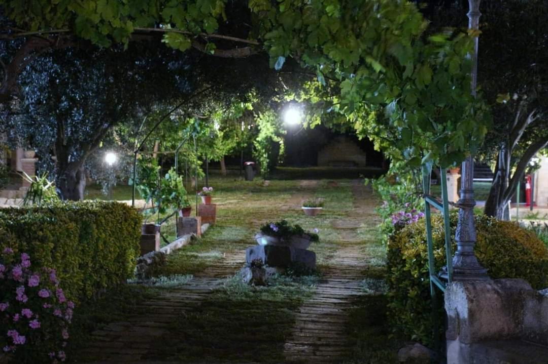Photo 46