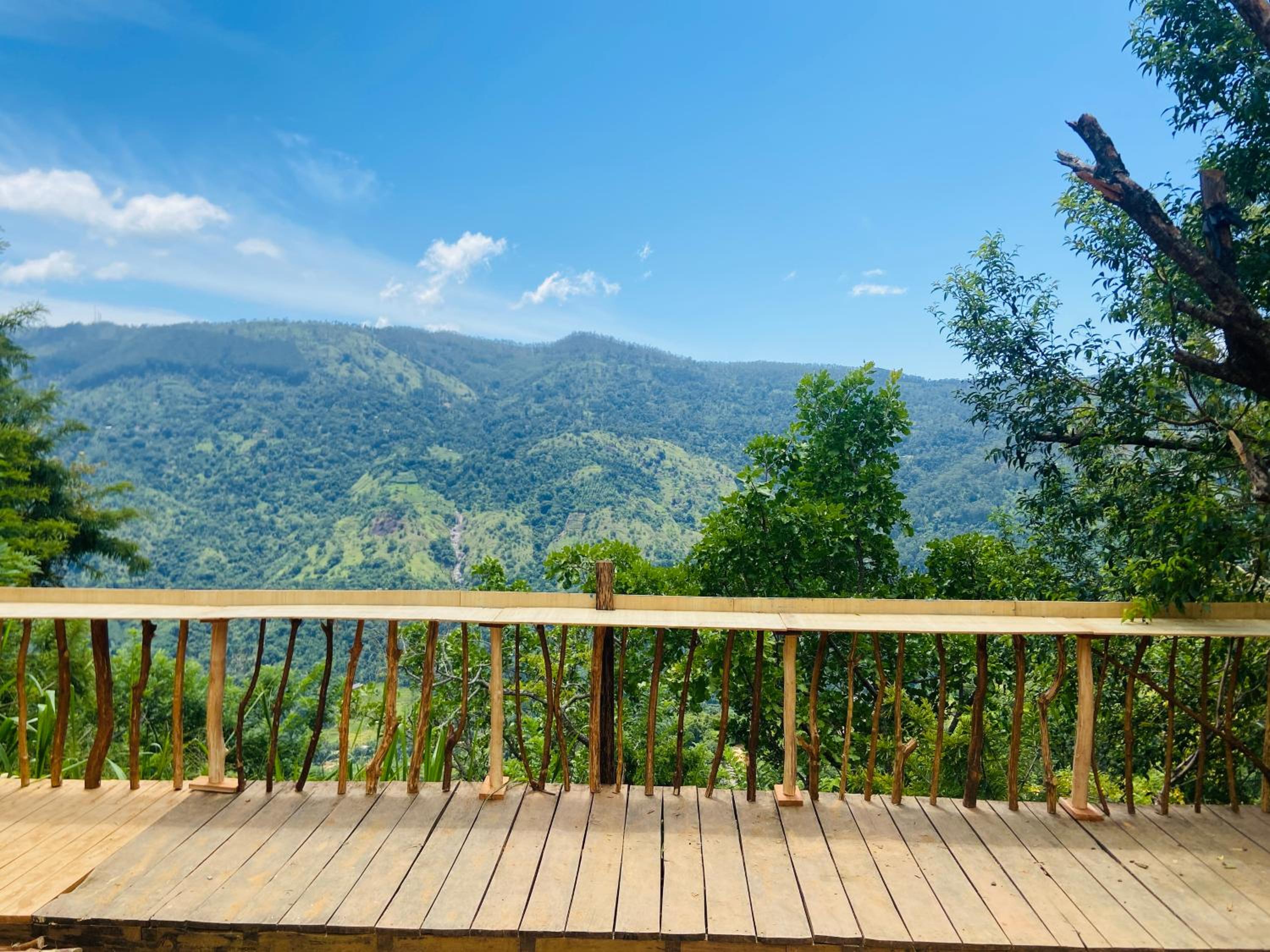 The Cliff Tea Glamping view 4