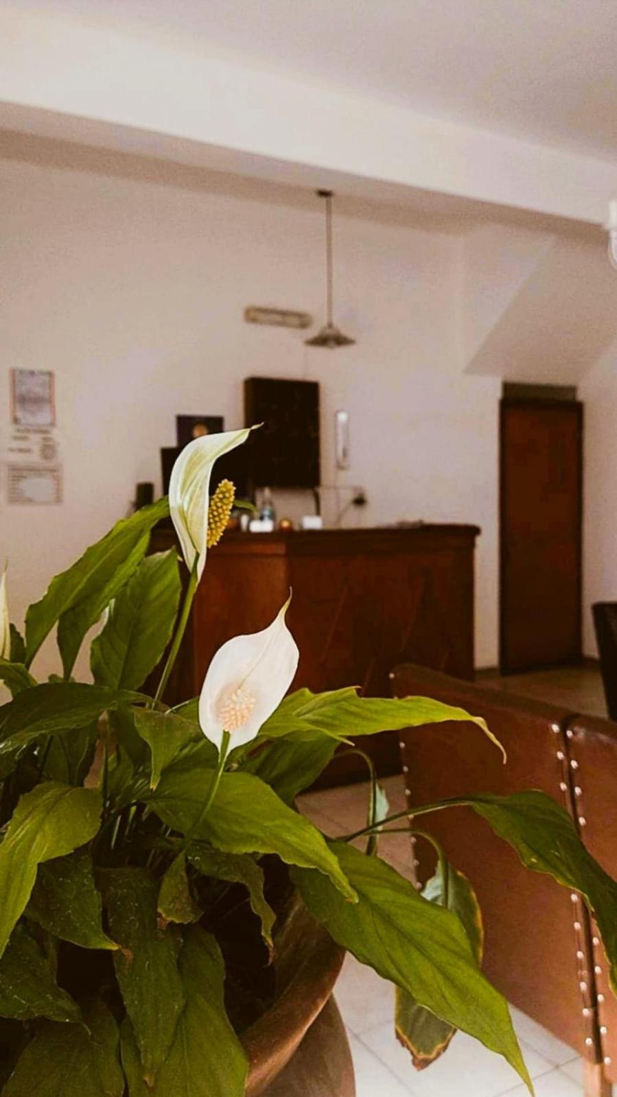 HOSTAL TILIAN