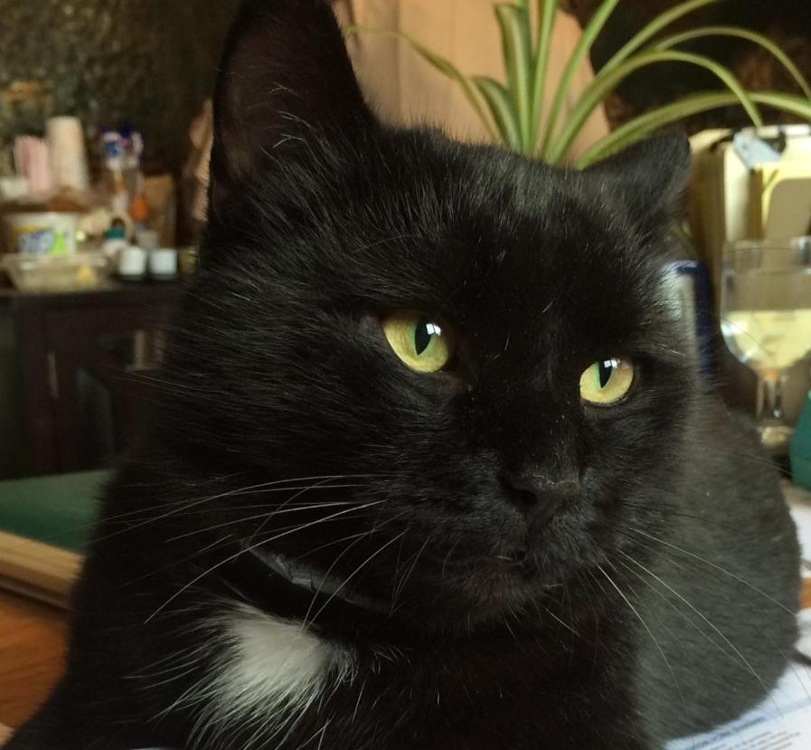 Brattleboro Vacations - The Black Mountain Inn - Property Image 66