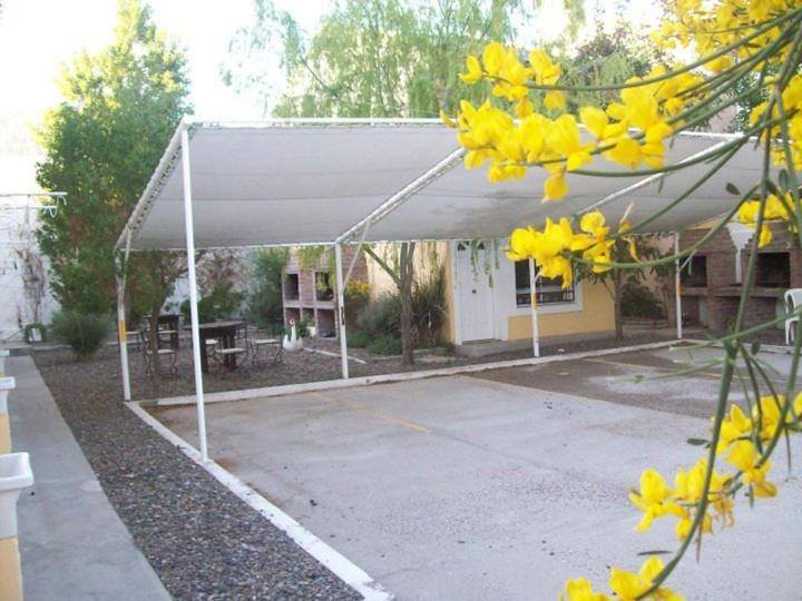 Hippocampus Casas de Mar