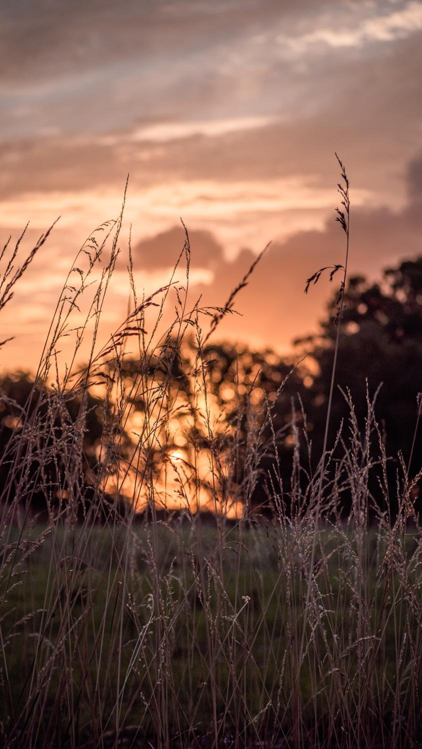 Pampas del Sur Hotel y Spa de campo