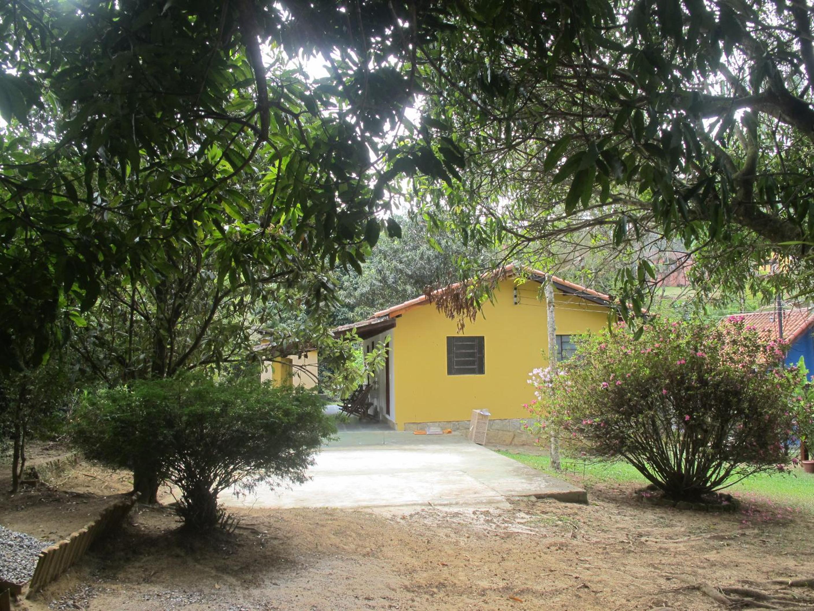 Photo 43