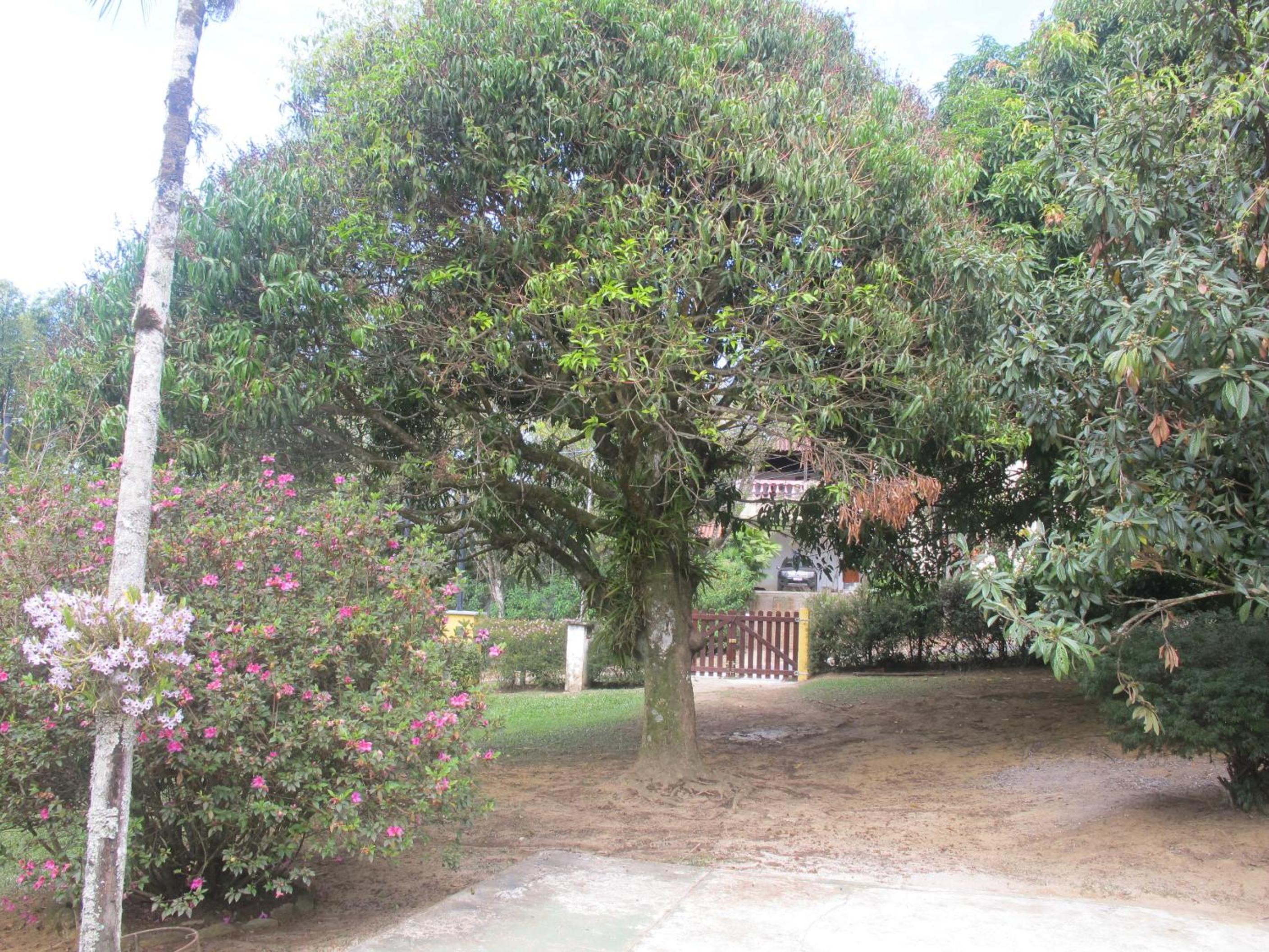 Photo 46