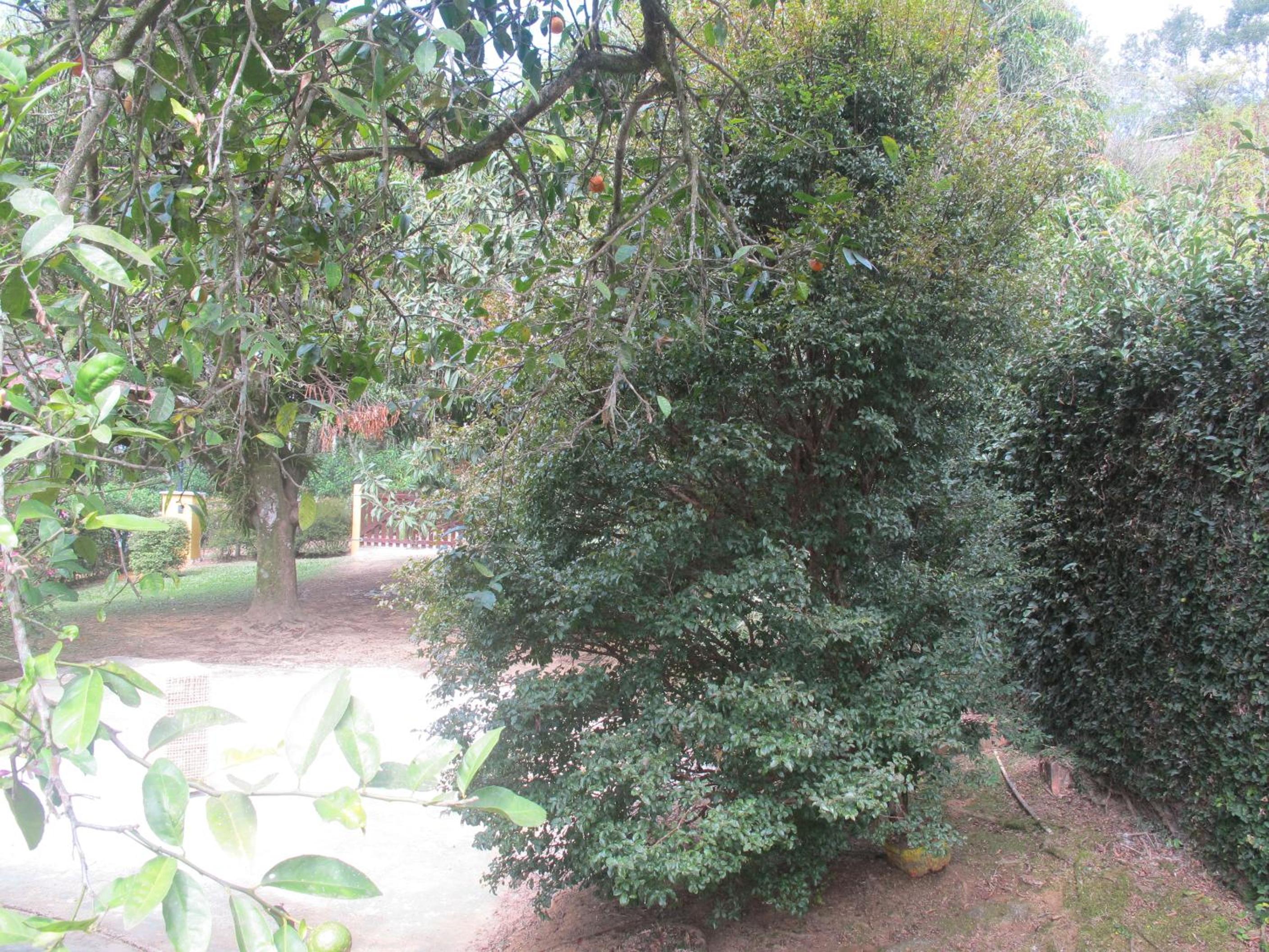 Photo 36