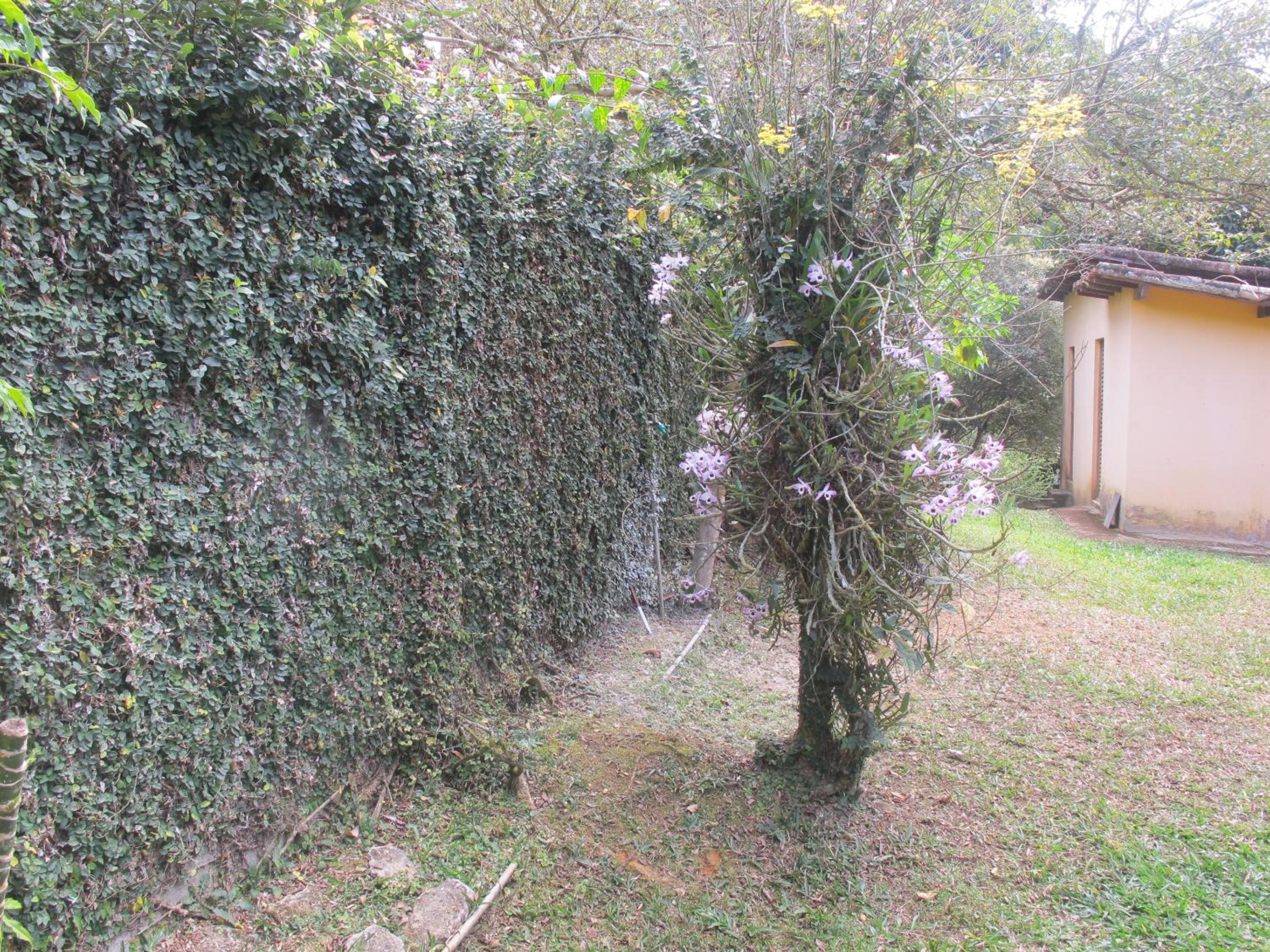 Photo 34