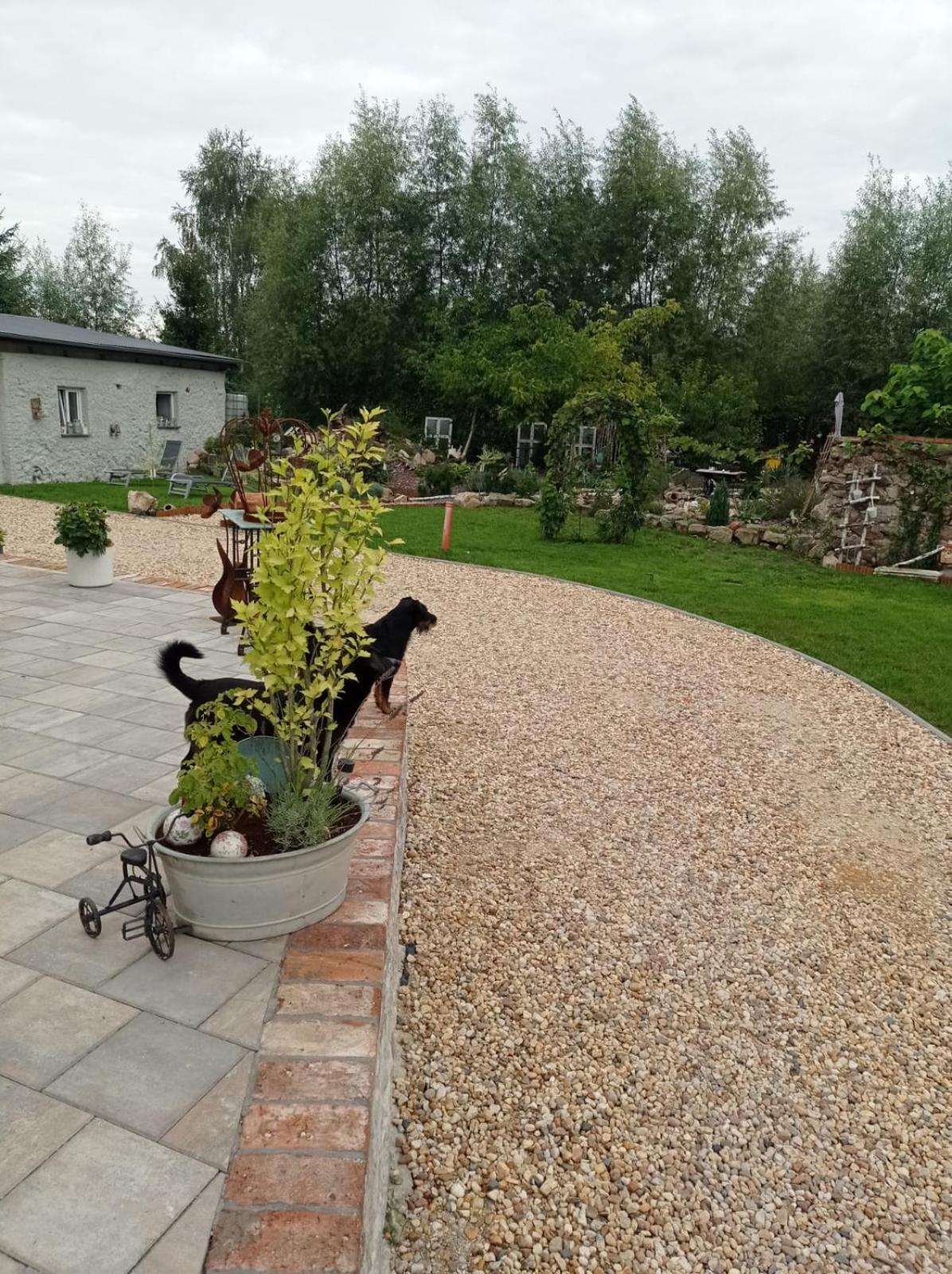Photo 13
