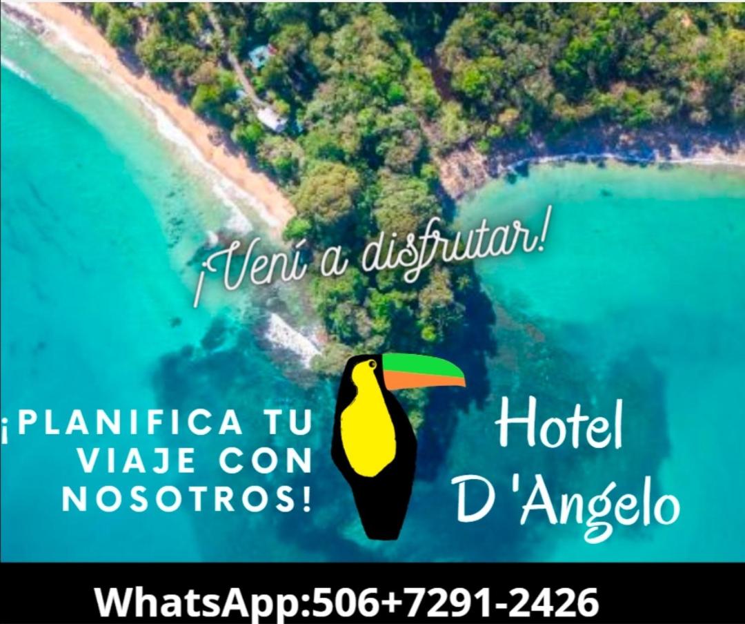 Hotel Boutique D Angelo