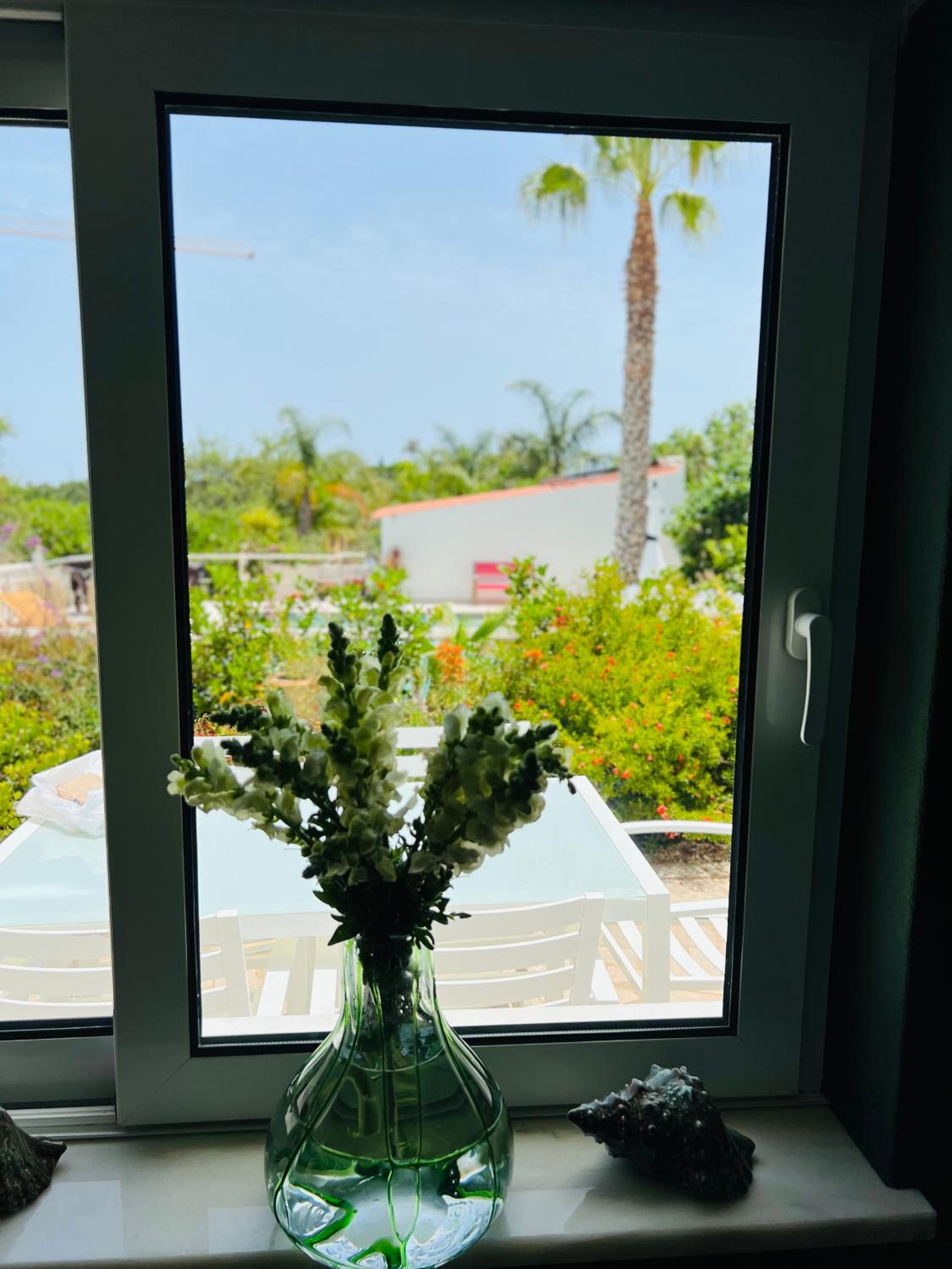 Palm View Guesthouse, adults only view 5