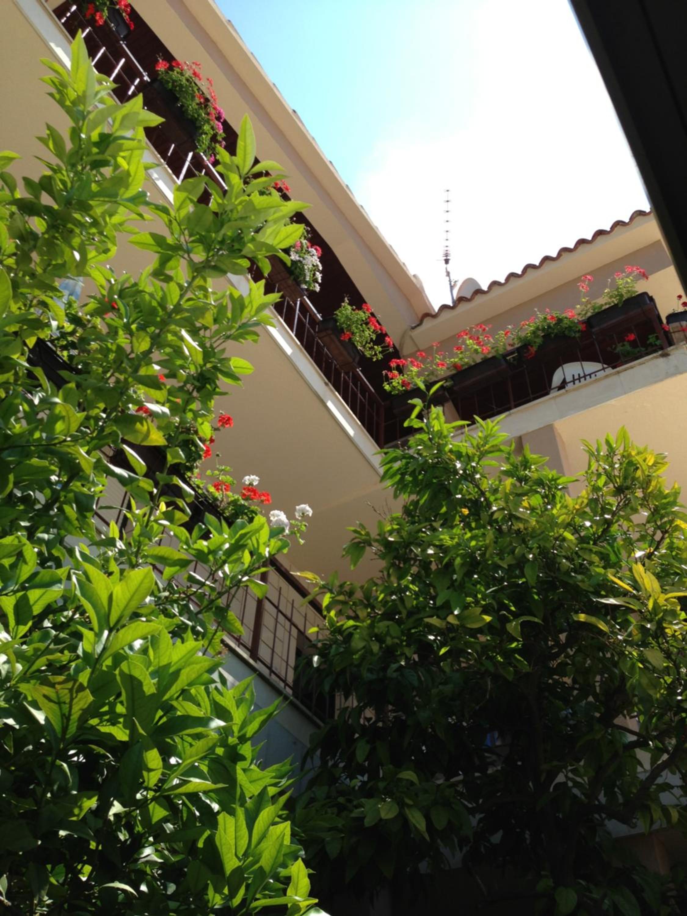Photo 46