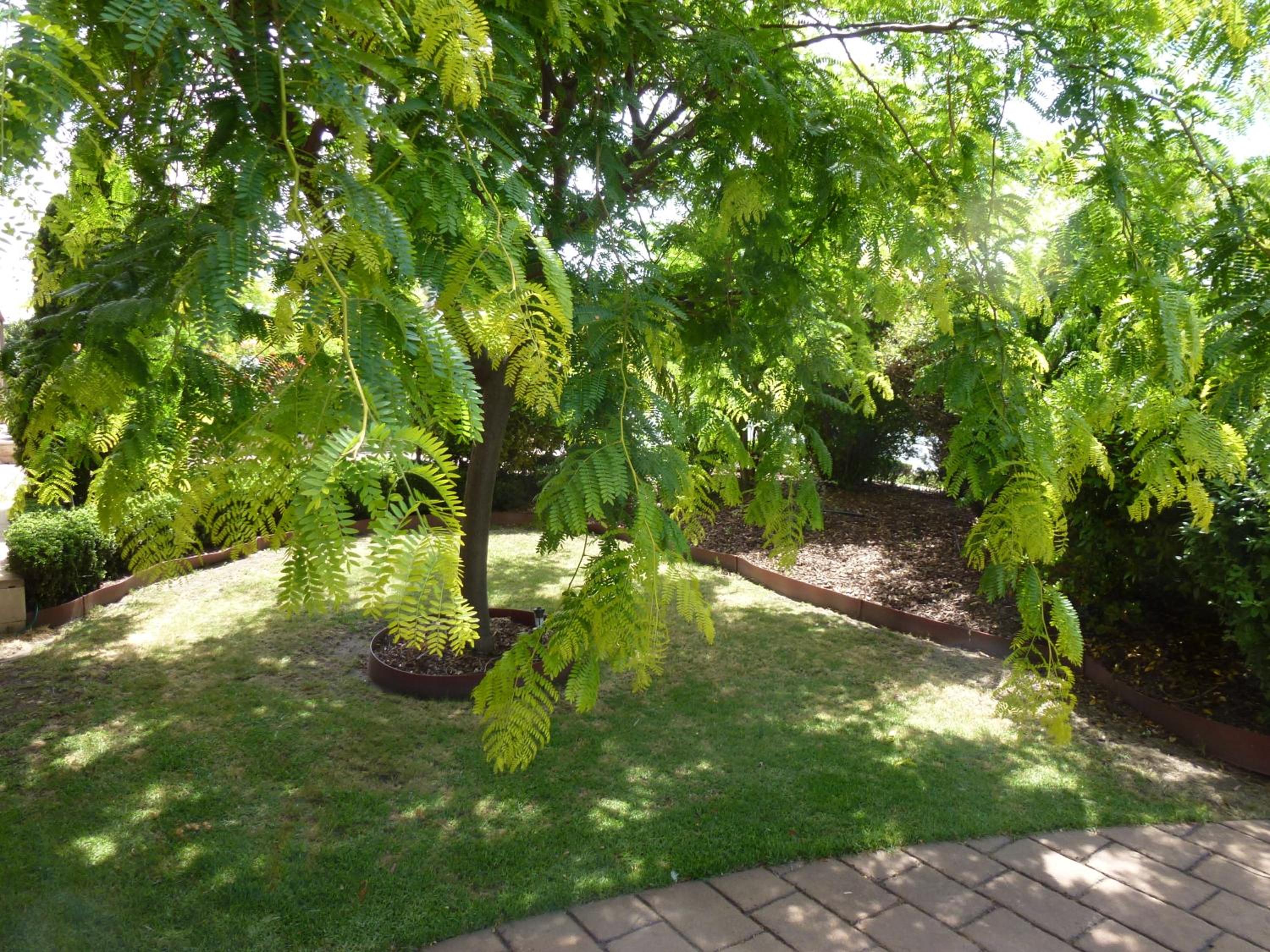 Colonial Motor Inn Bairnsdale Golden Chain Property