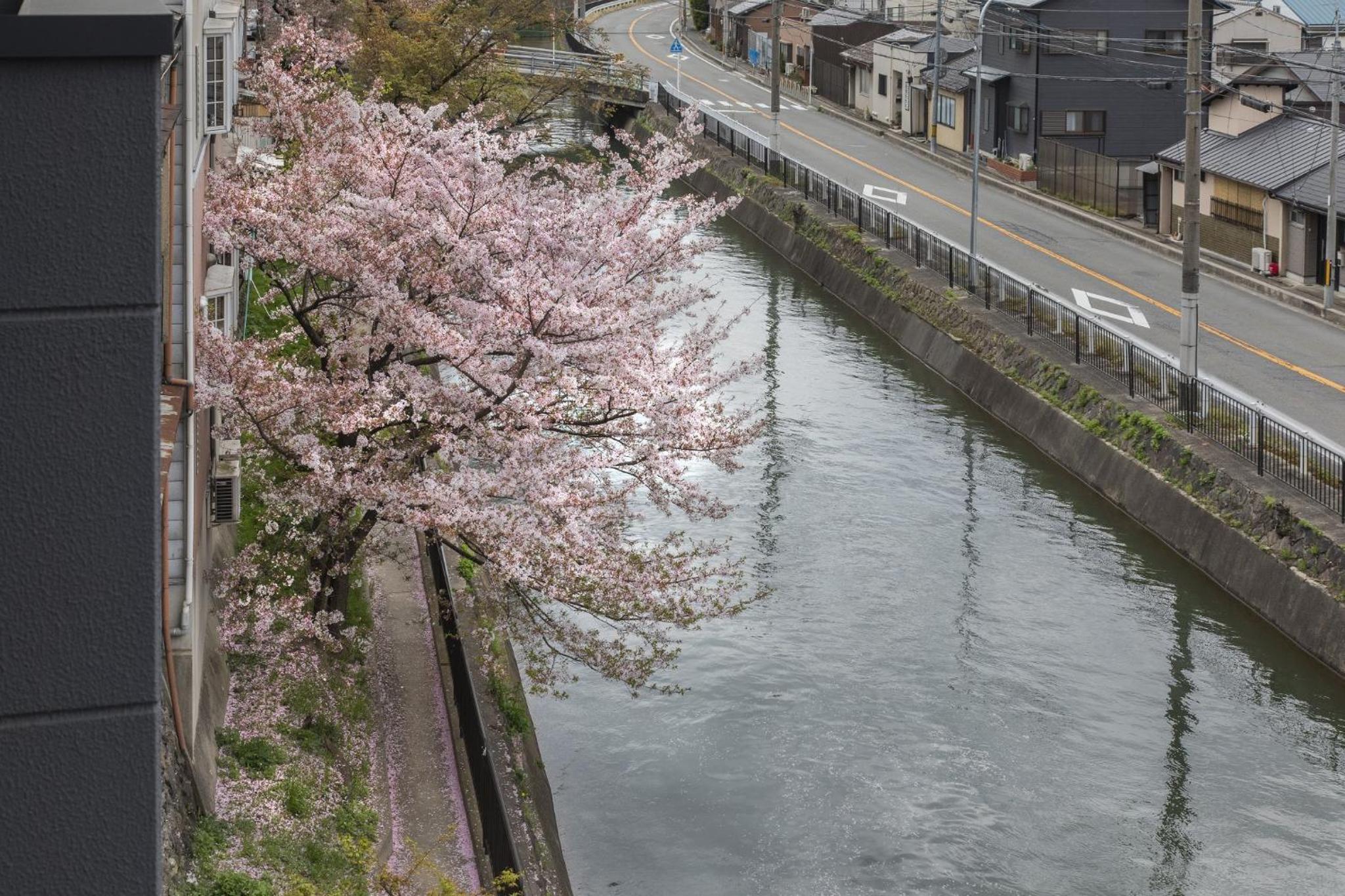 Tohukuji Rever side - Vacation STAY 32687v view 2