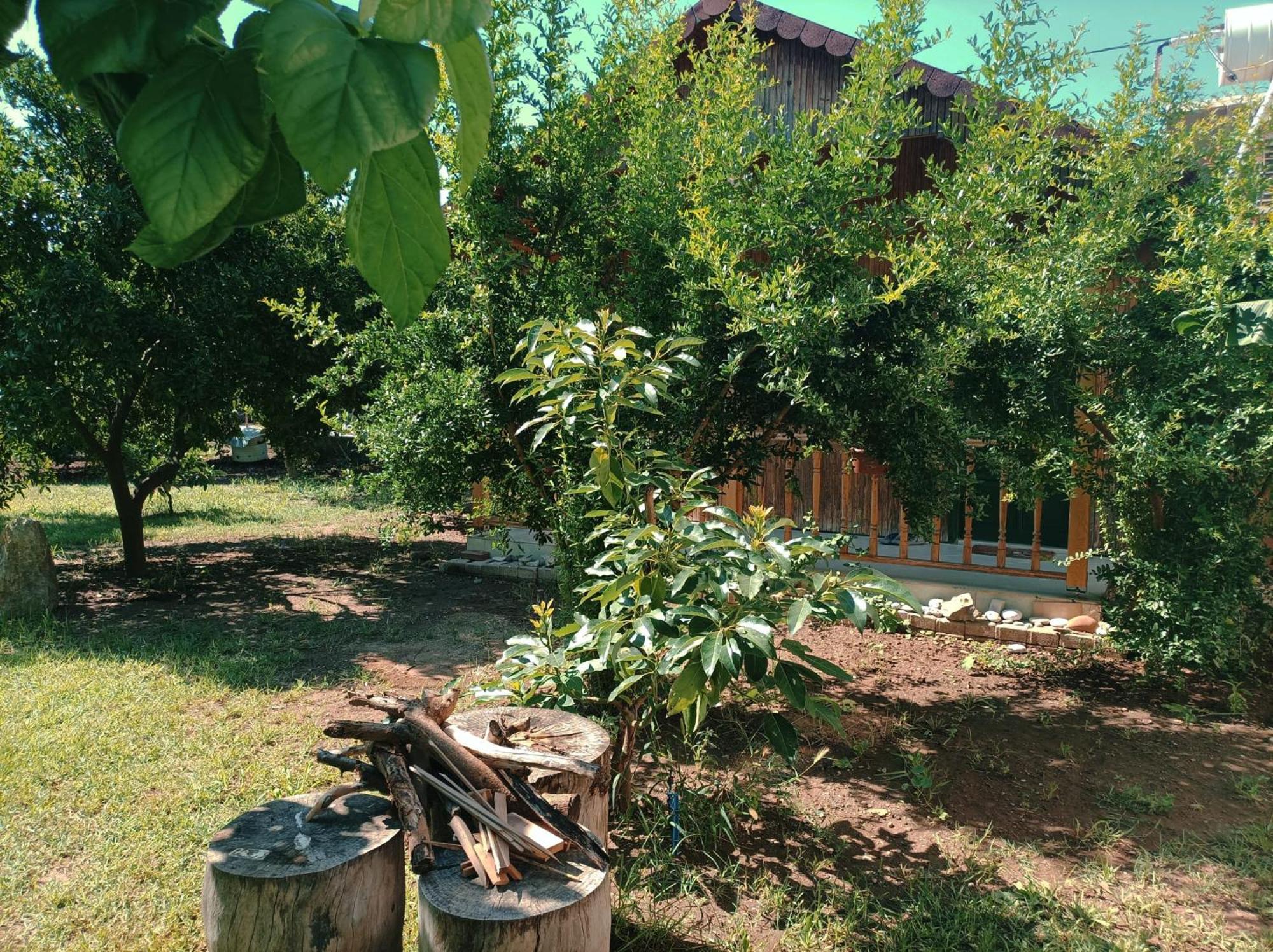 Photo 16