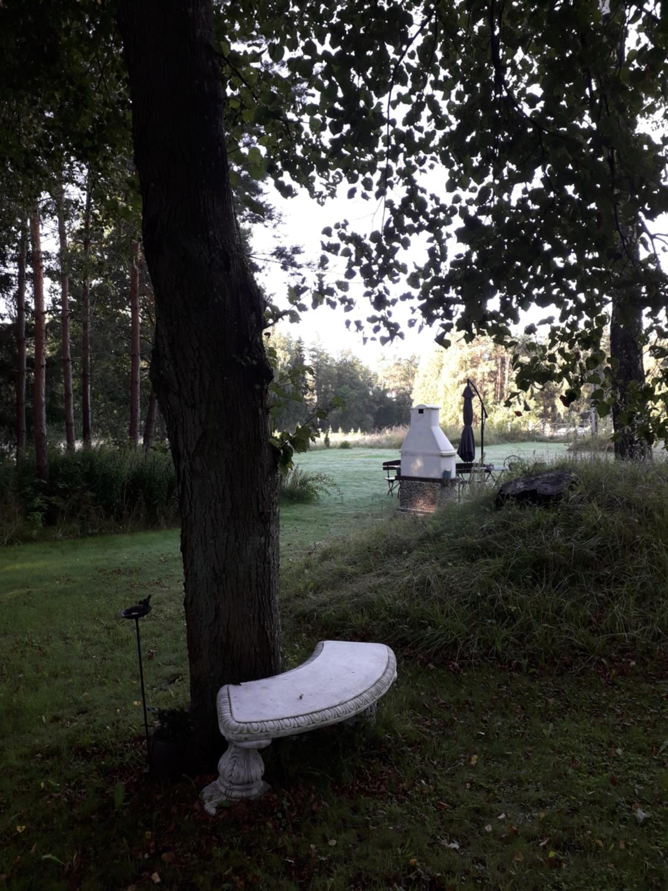 Photo 30