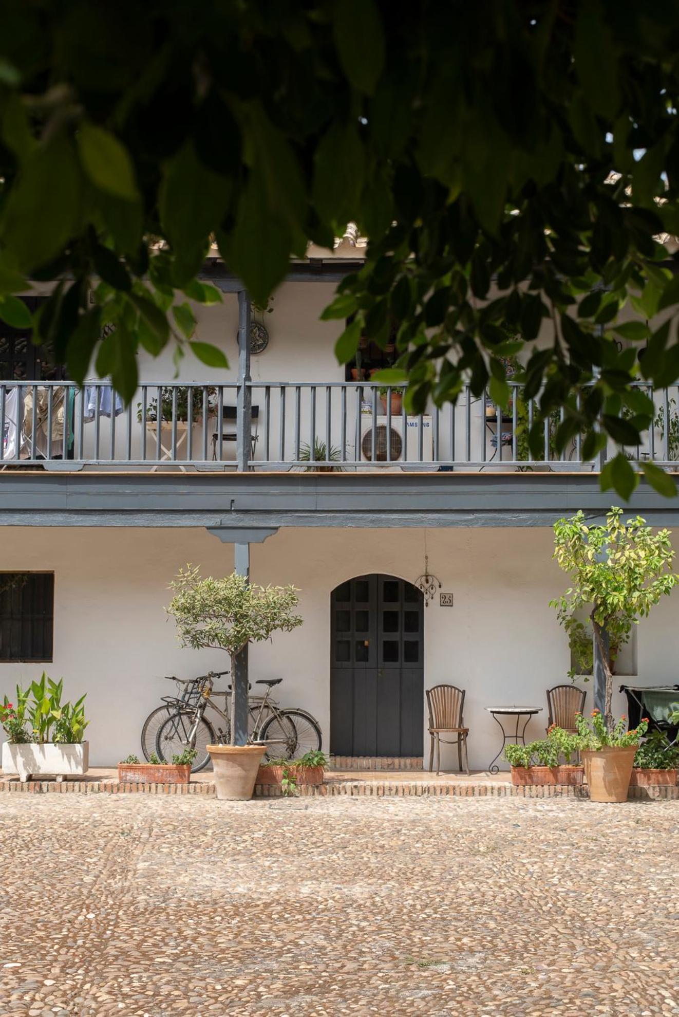 Andalusian Courtyard