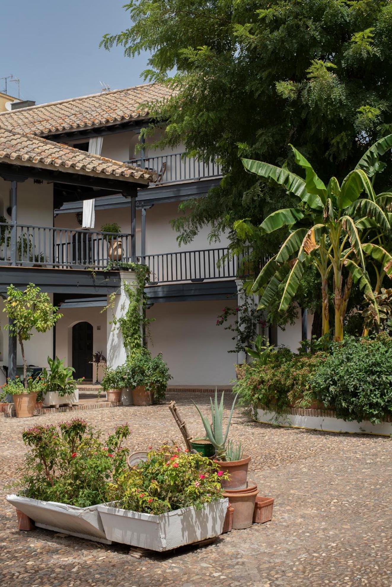 Andalusian Courtyard