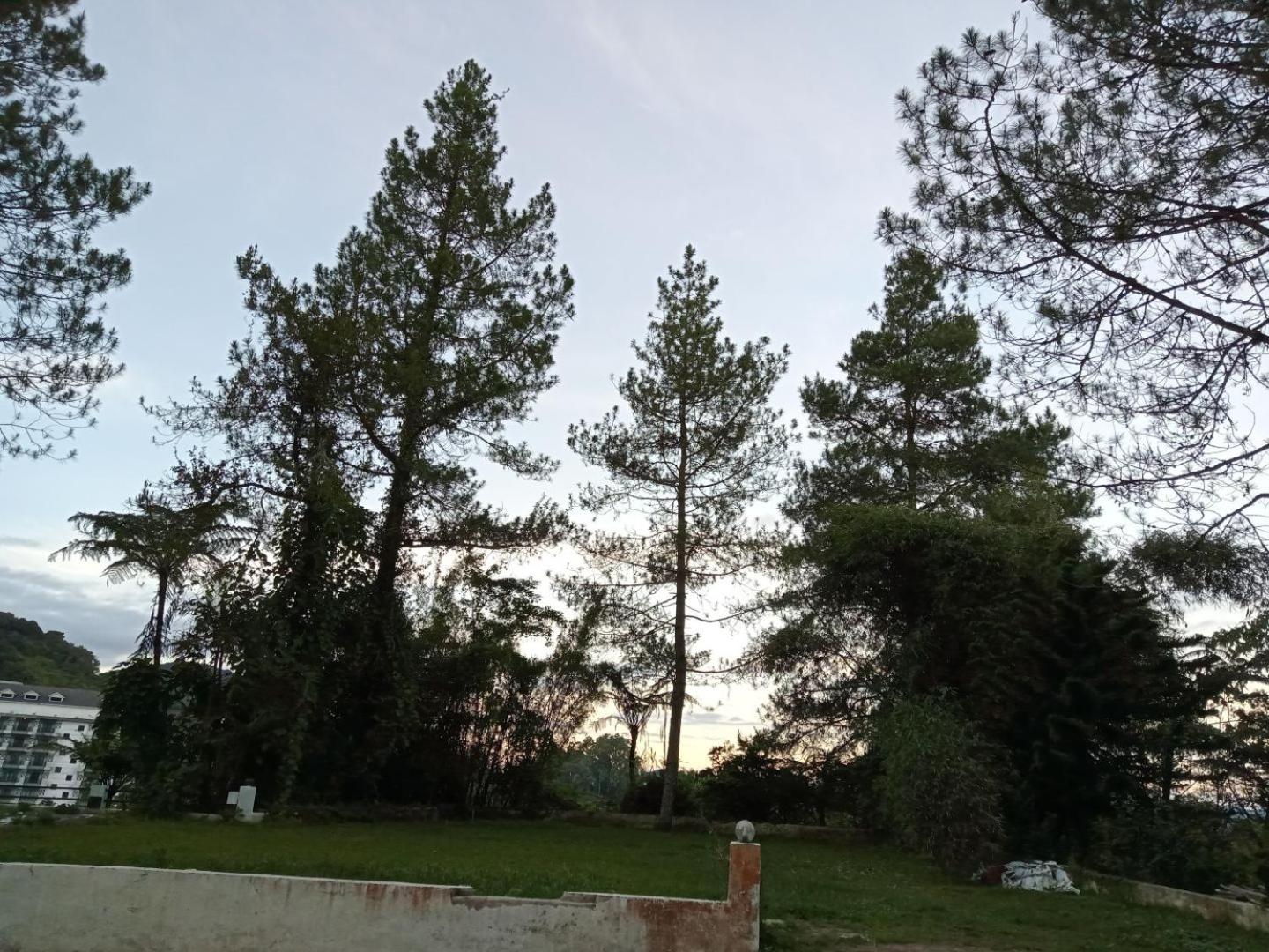 Copthorn Homestay