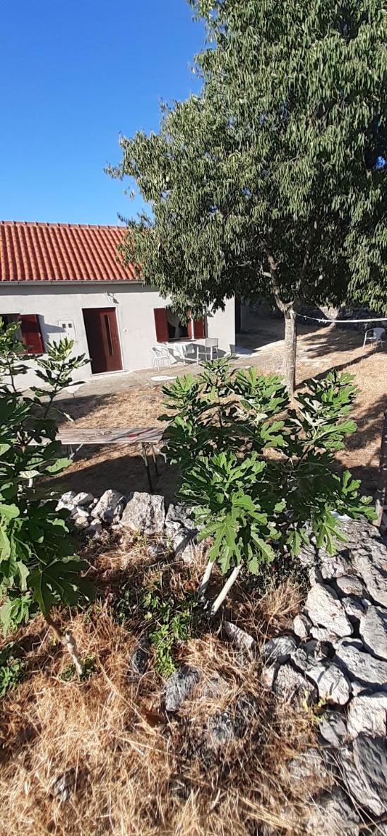 Kuca za odmor Gabri-el view 4