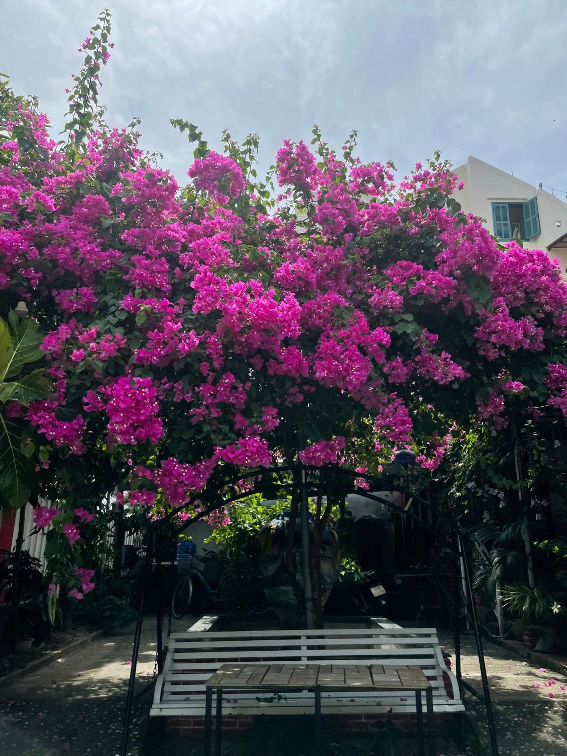 Red House Homestay - Villa