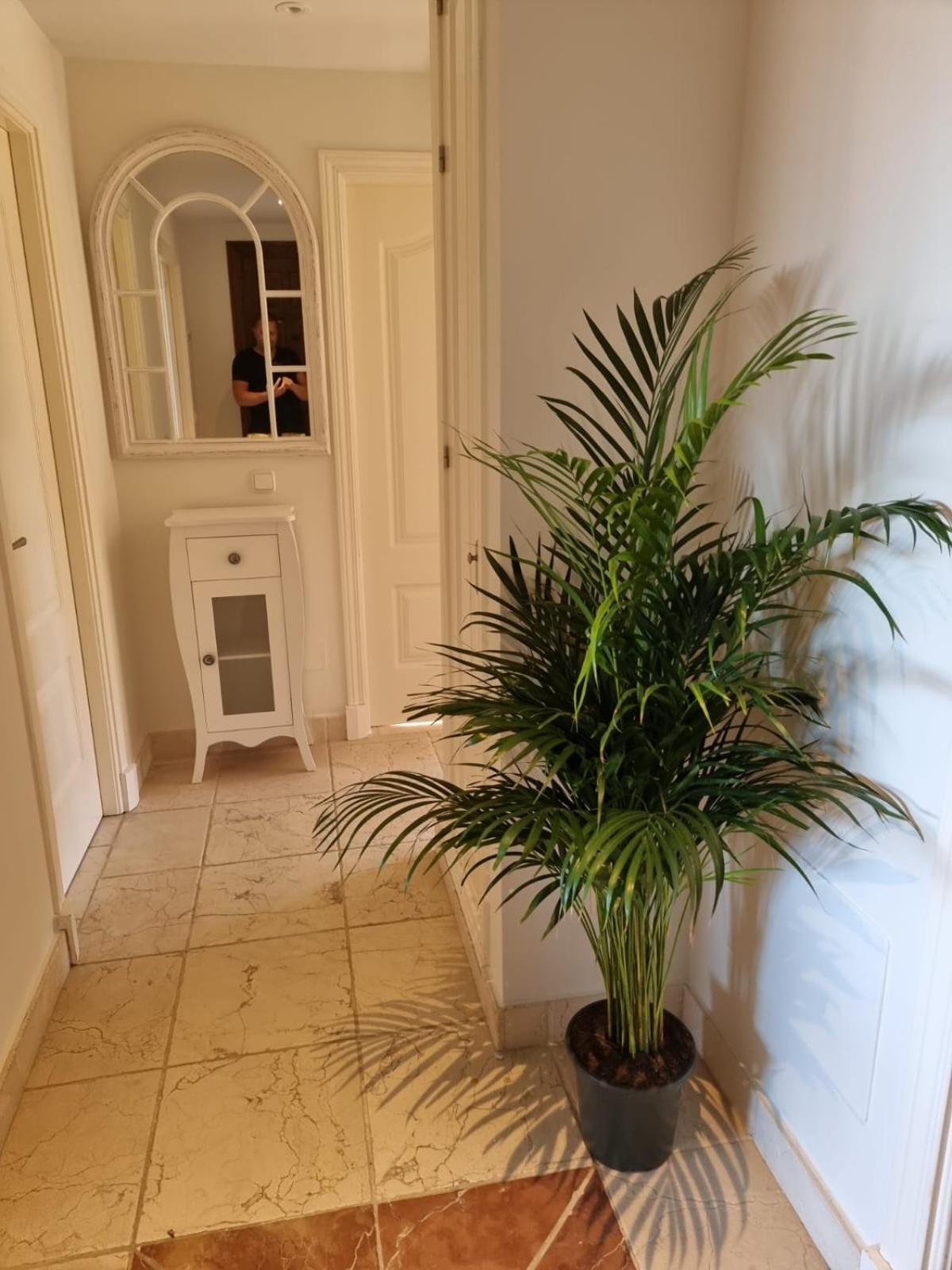 Apartment Benatalaya,heated pool,saunas,GYM