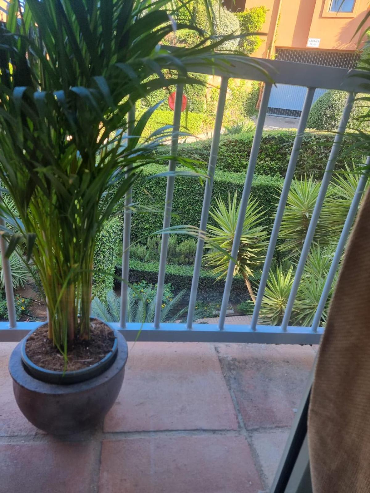 Apartment Benatalaya,heated pool,saunas,GYM