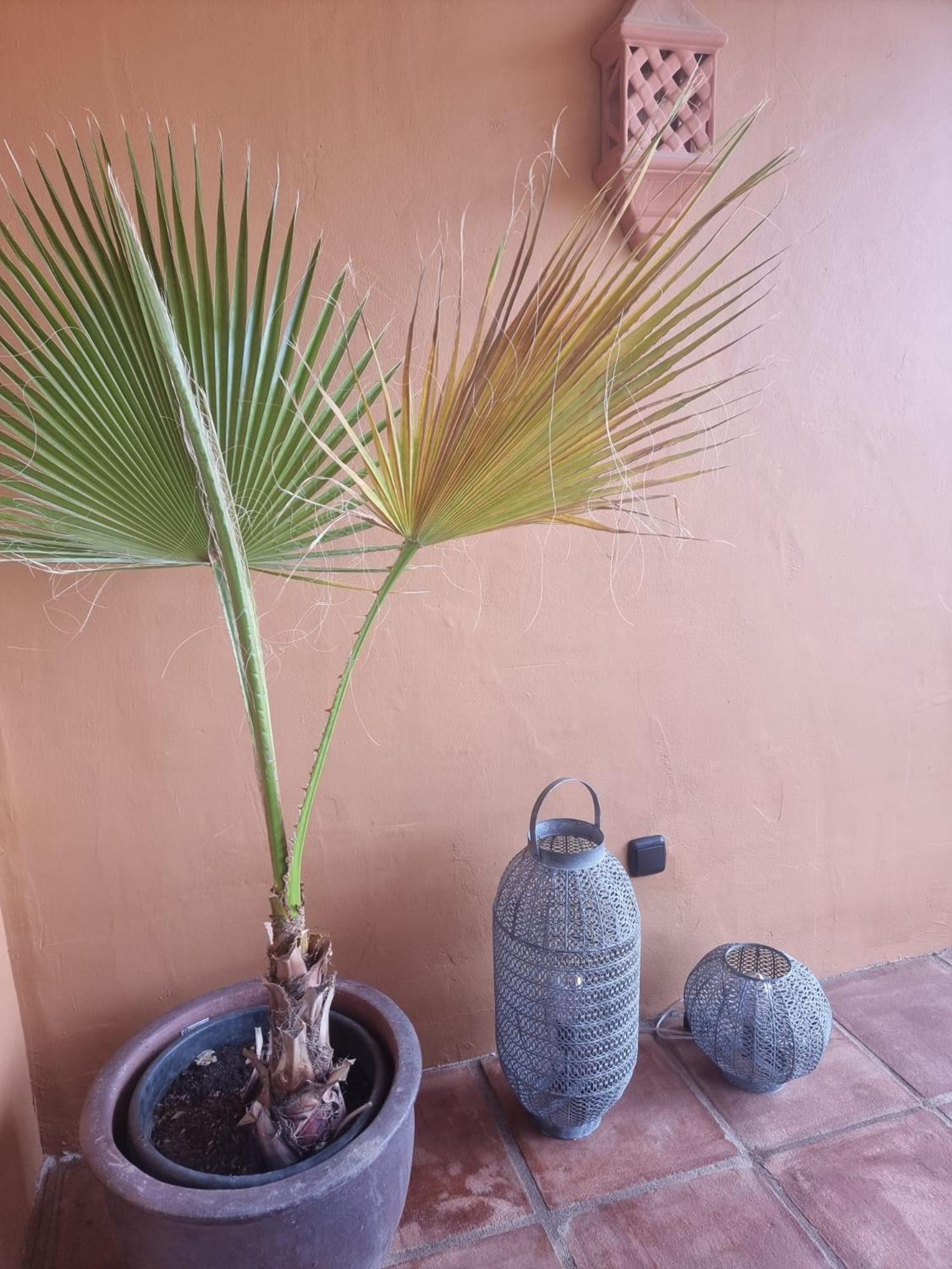 Apartment Benatalaya,heated pool,saunas,GYM
