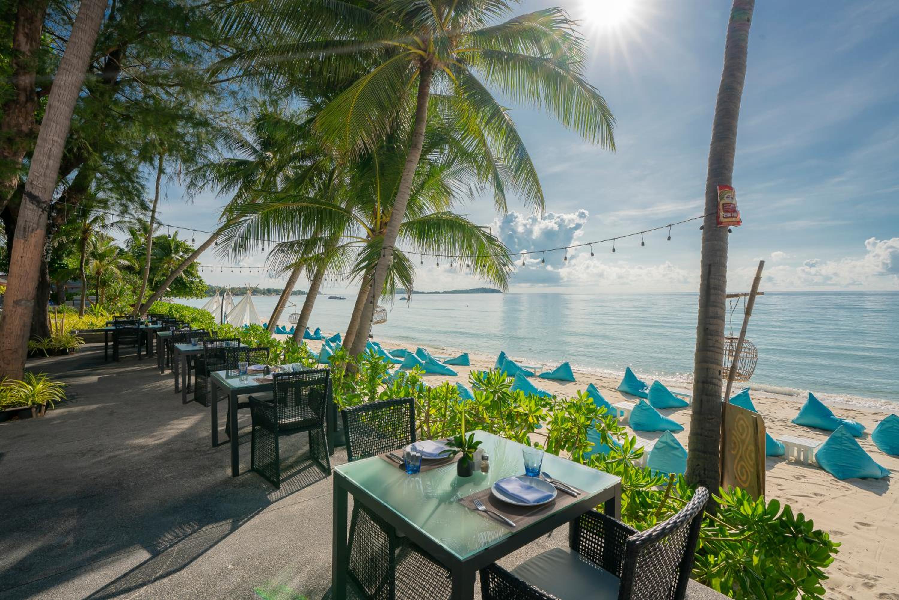 Synergy Samui