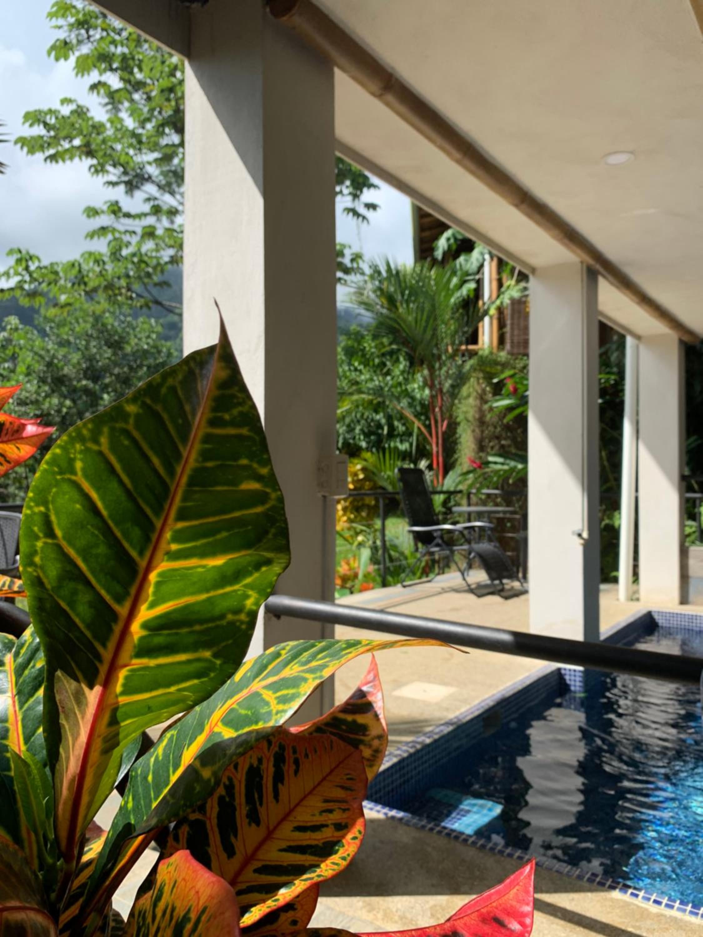 Bambura Hermosa villas