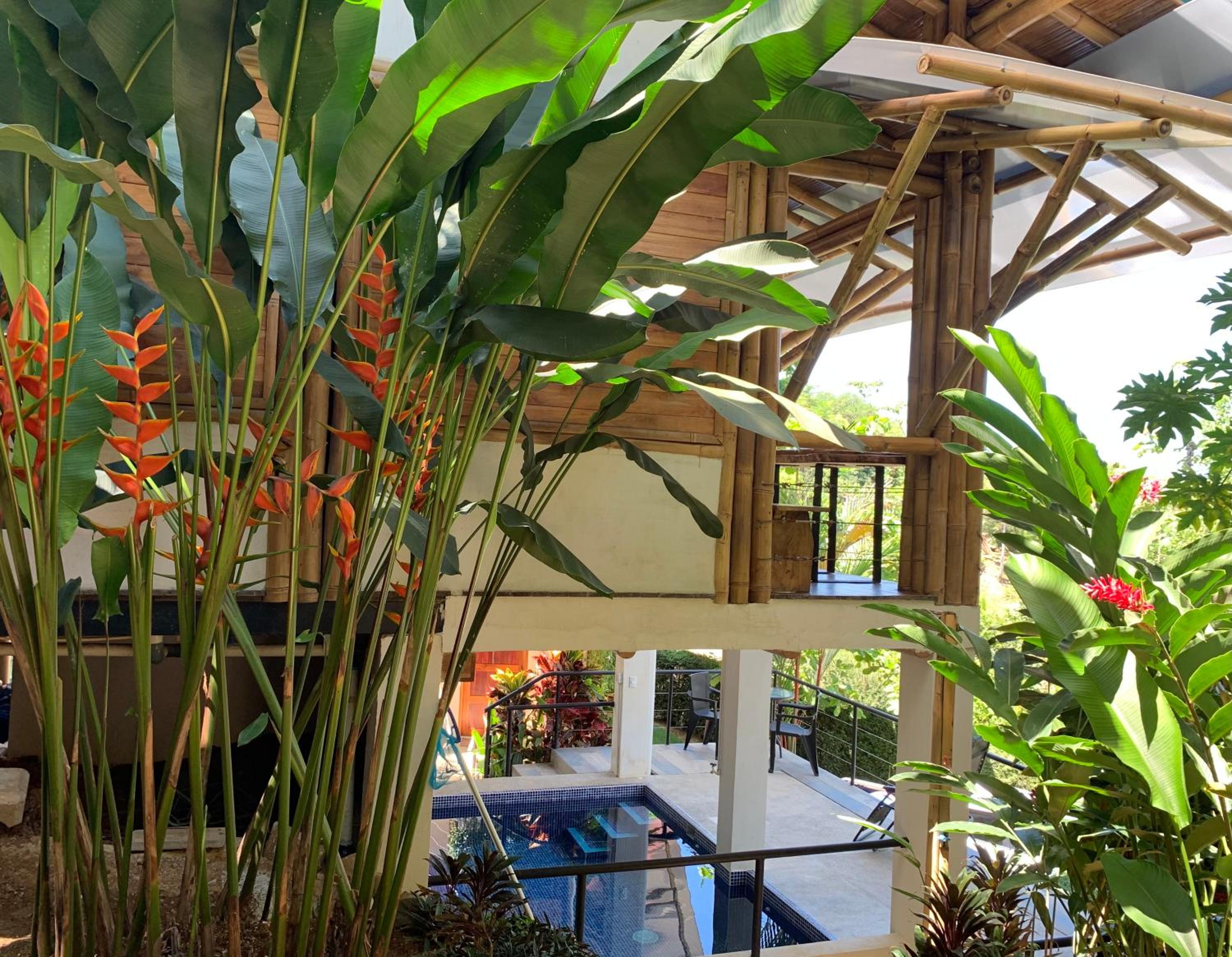 Bambura Hermosa villas