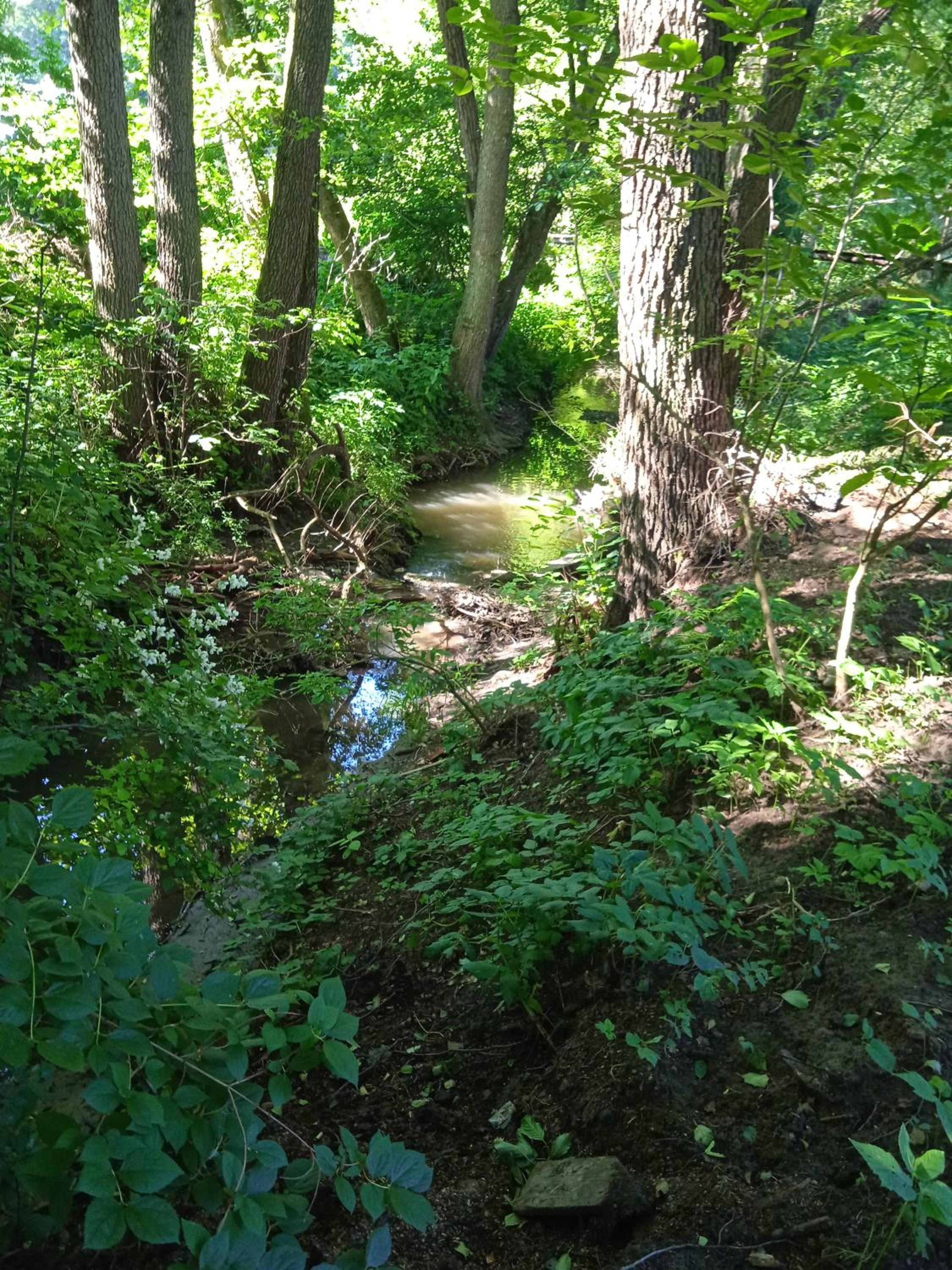 Photo 6