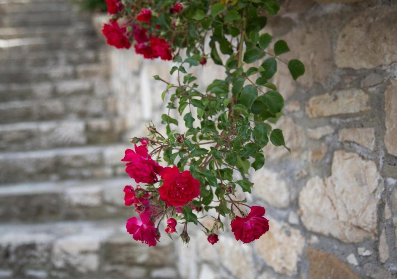 Agriturismo Il Borgo