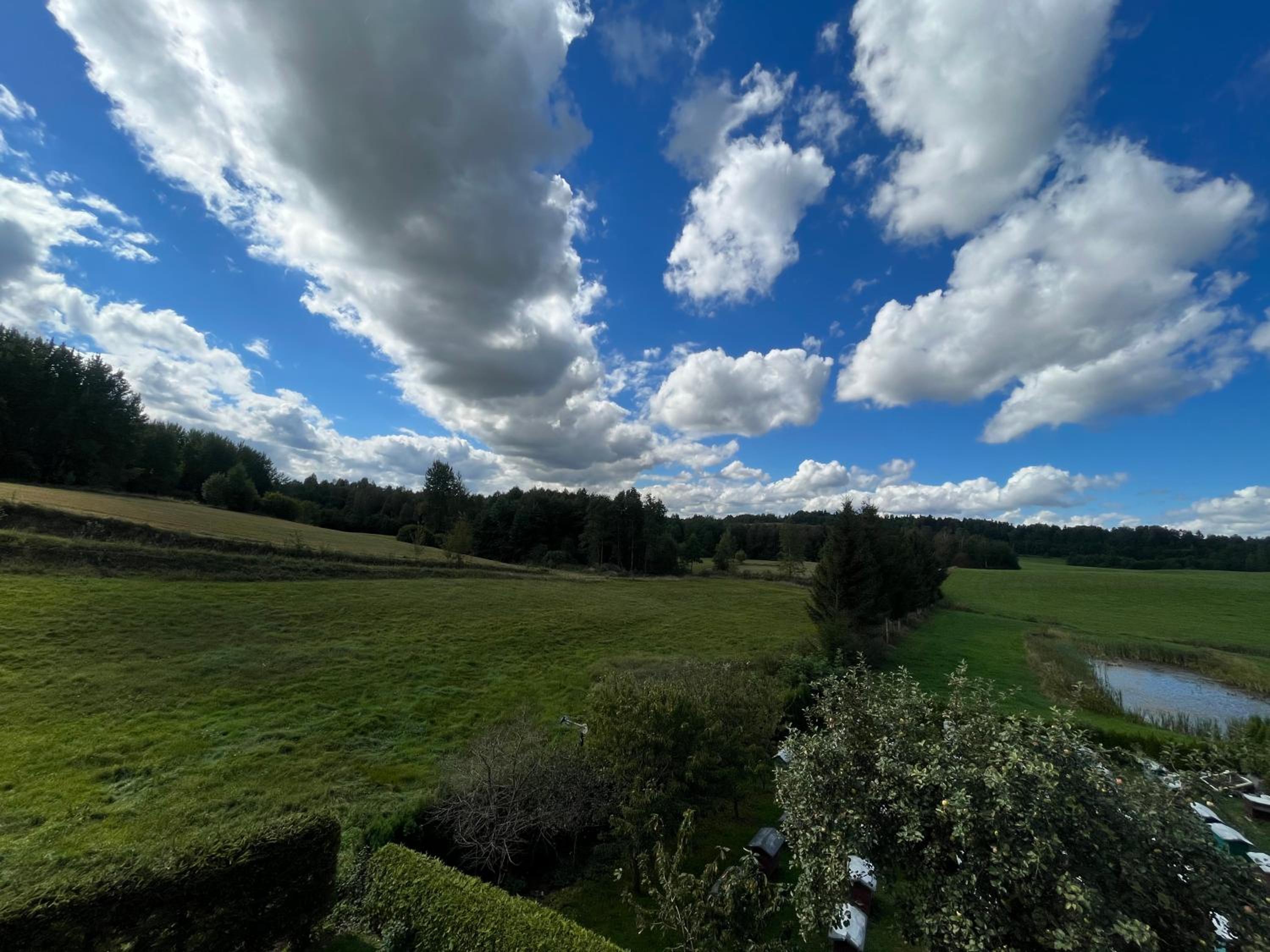 Photo 44