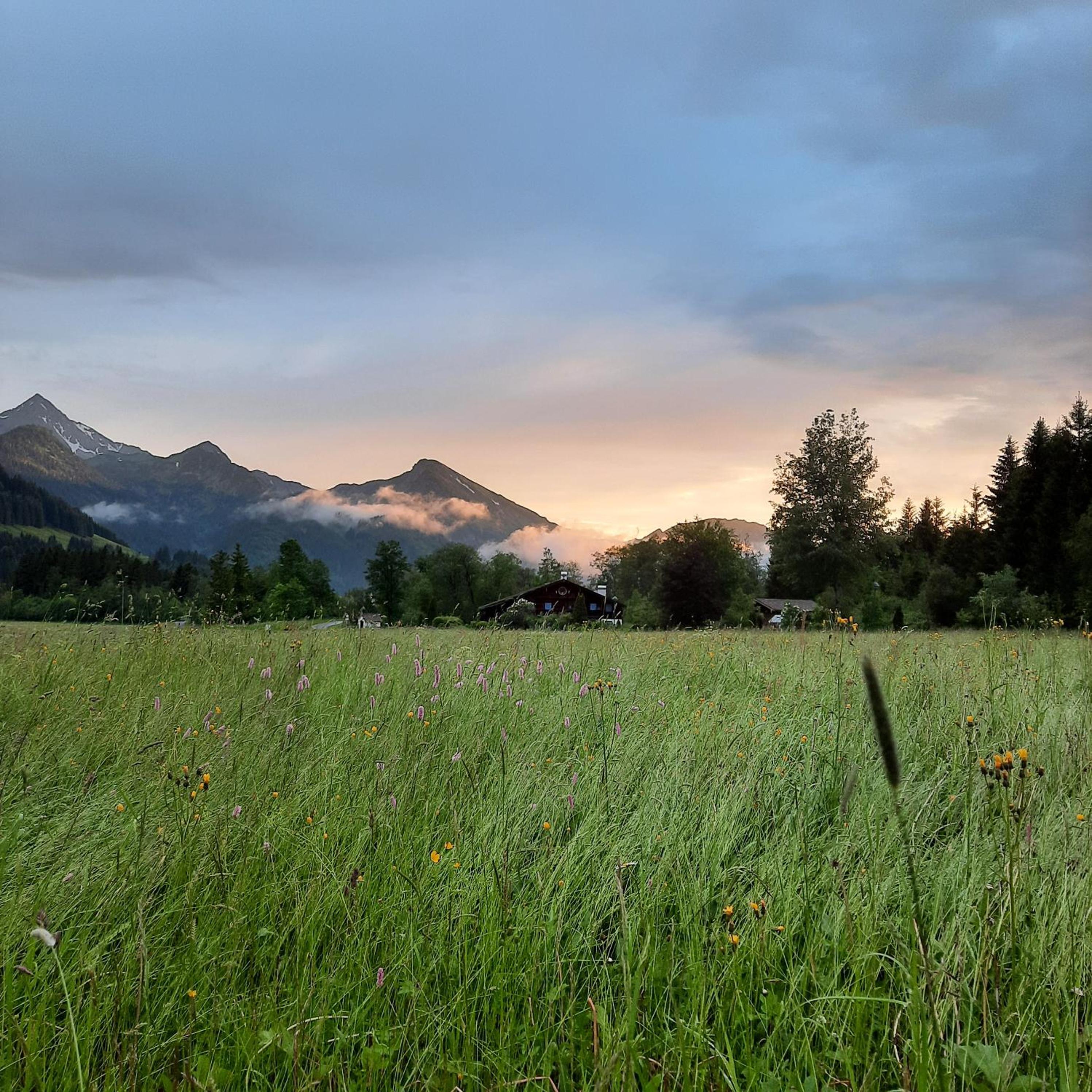 Suite Sinfonie Bergstille view 5