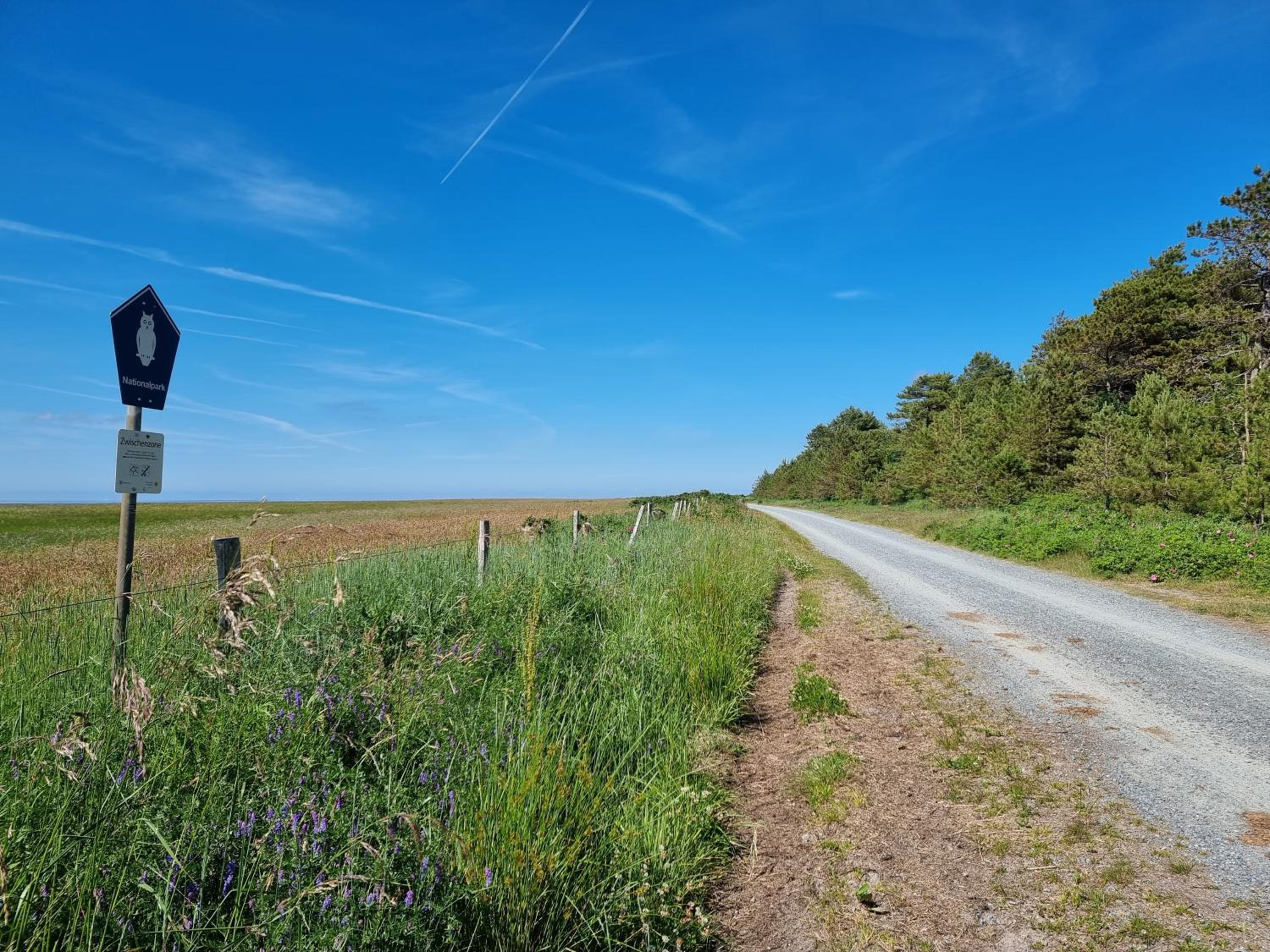 Nordheimstraße 150a Waldblick