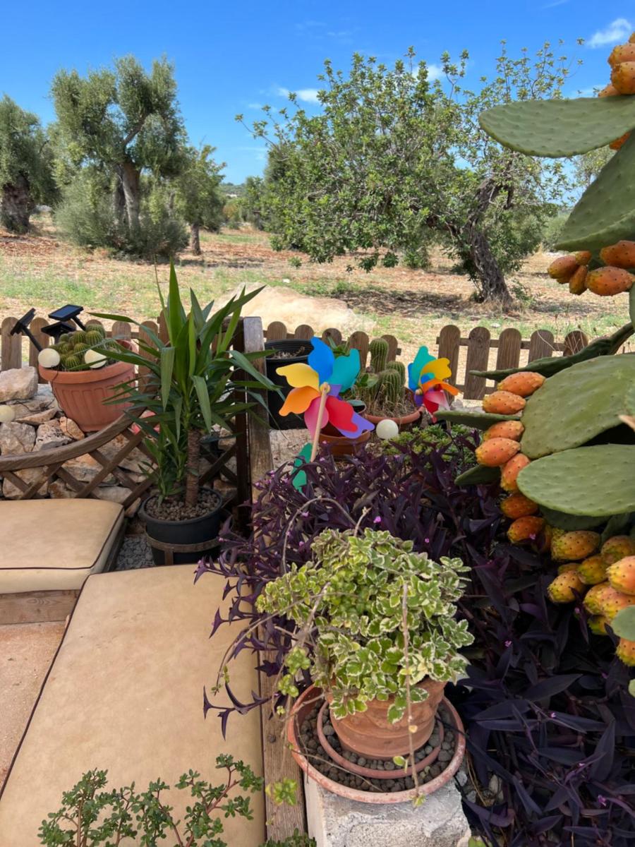 La Guendalina Masseria e Casa Particular view 5